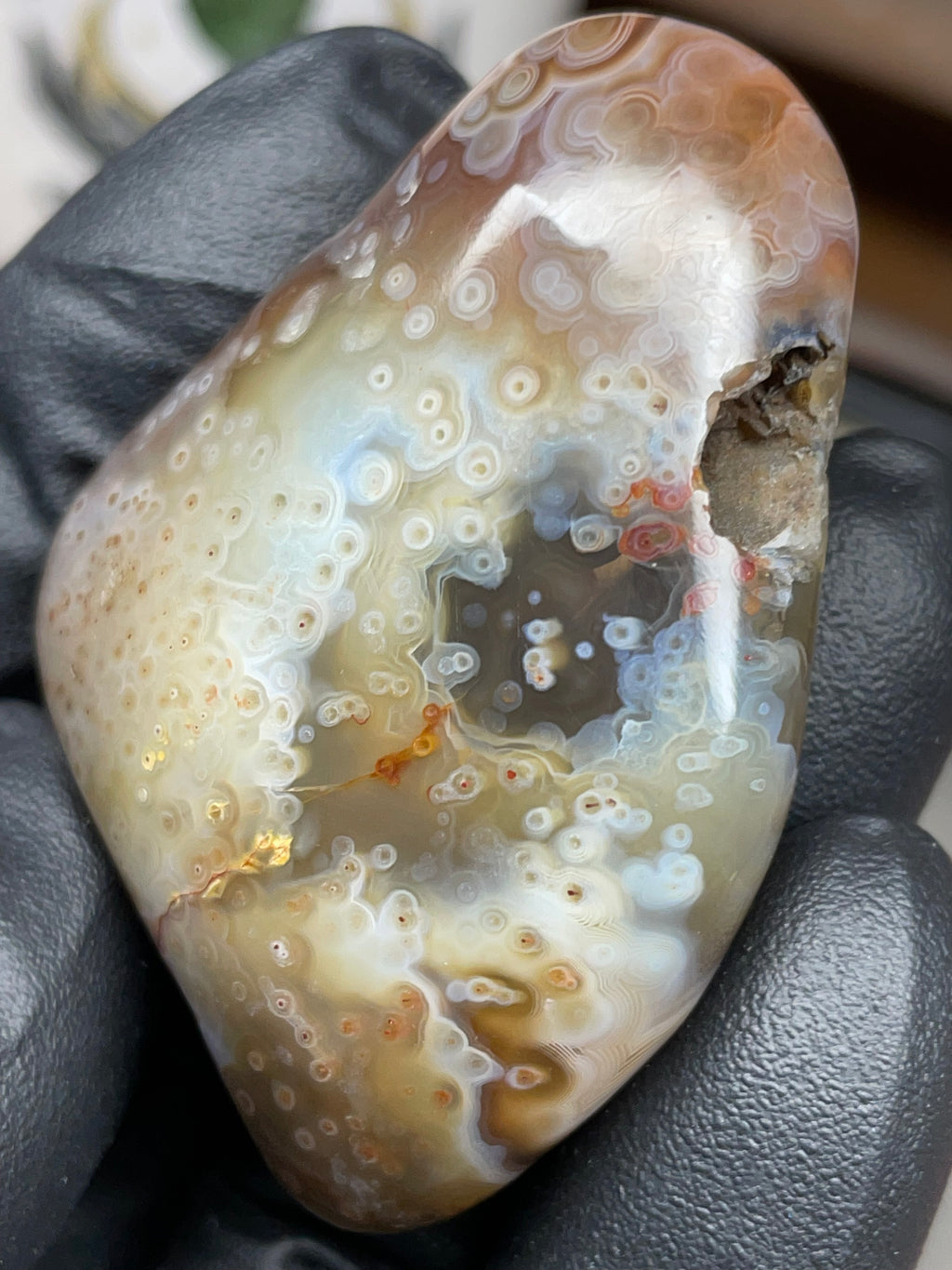 StoneBorn Creations Hand-Polished Botswana Agate – Orbicular “Eye” Patterns with Natural Pocket