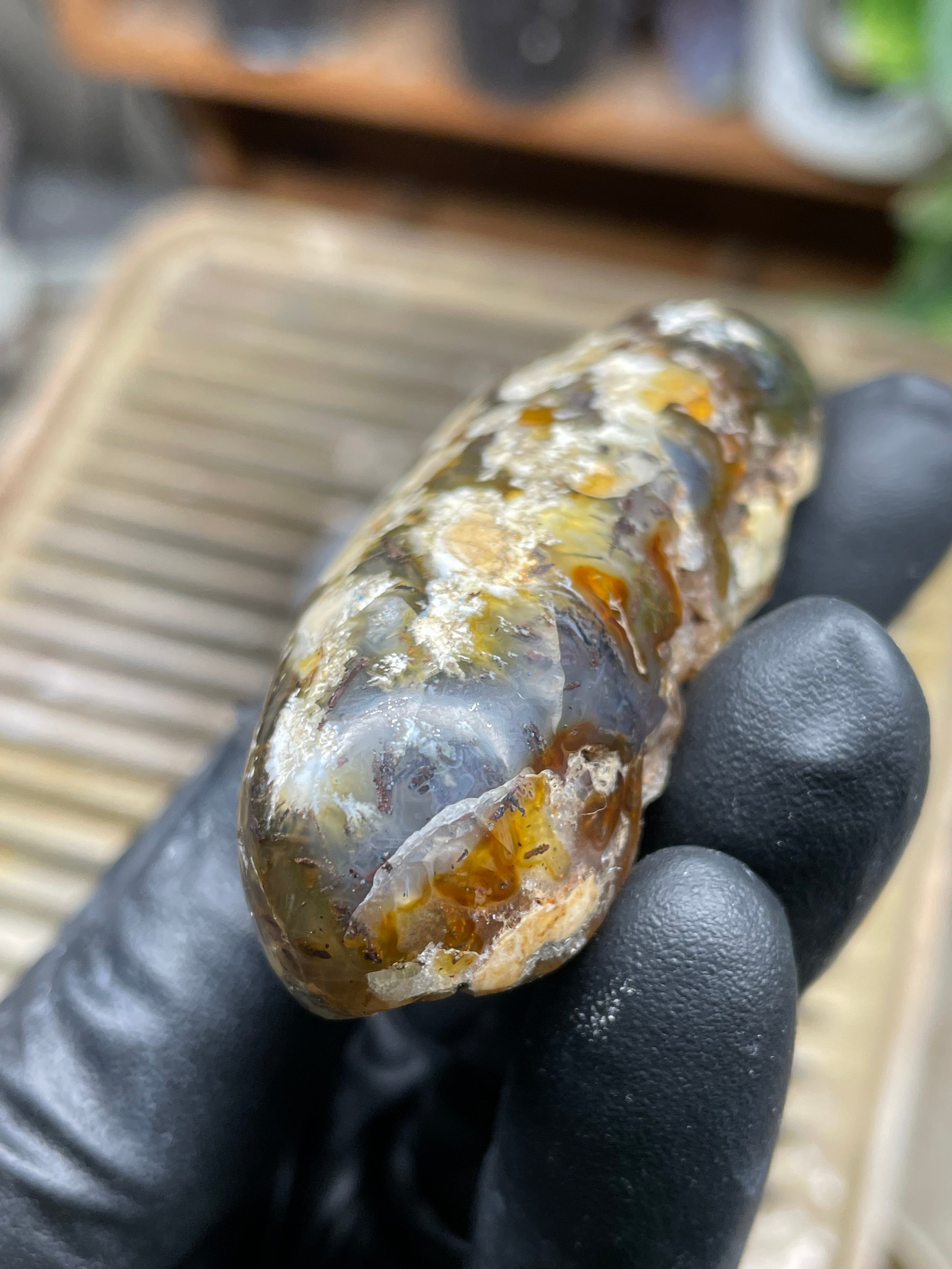 StoneBorn Creations Hand-Polished Trent Agate Freeform with Creamy Plume Inclusions, Druzy Cavities & Earth-Toned Chalcedony