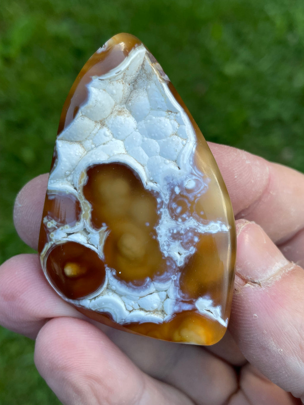 StoneBorn Creations Hand-Polished Agatized Coral Freeform with Amber Chalcedony, Orbicular Eyes & UV Fluorescence