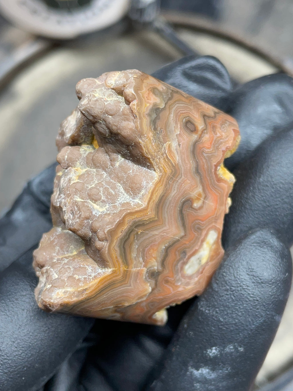 StoneBorn Creations Hand-Polished Georgia Crazy Lace Agate with Natural Quartz Vein & Raw Matrix