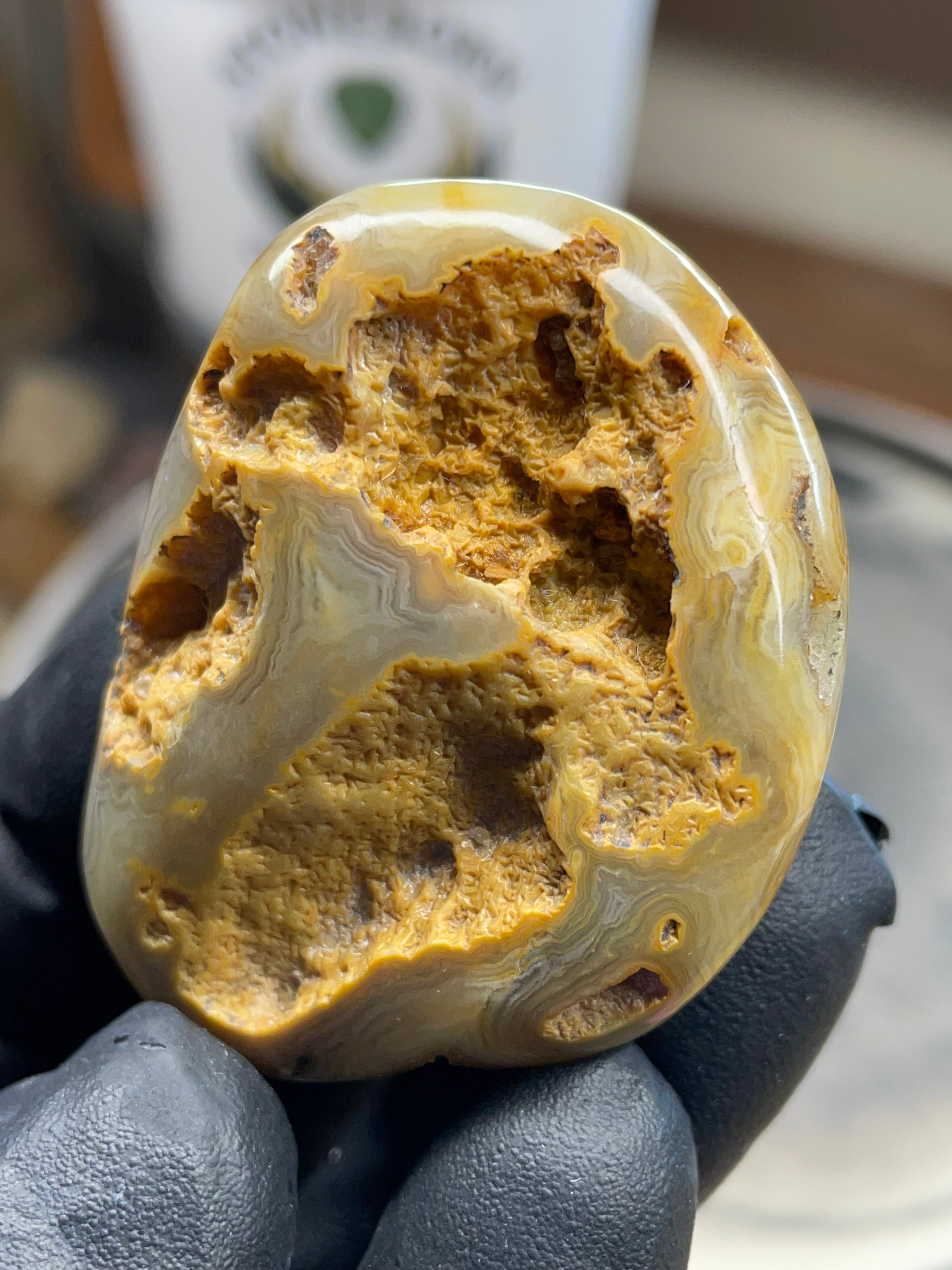 Hand-Polished Lace Agate – Natural Pocket Stone