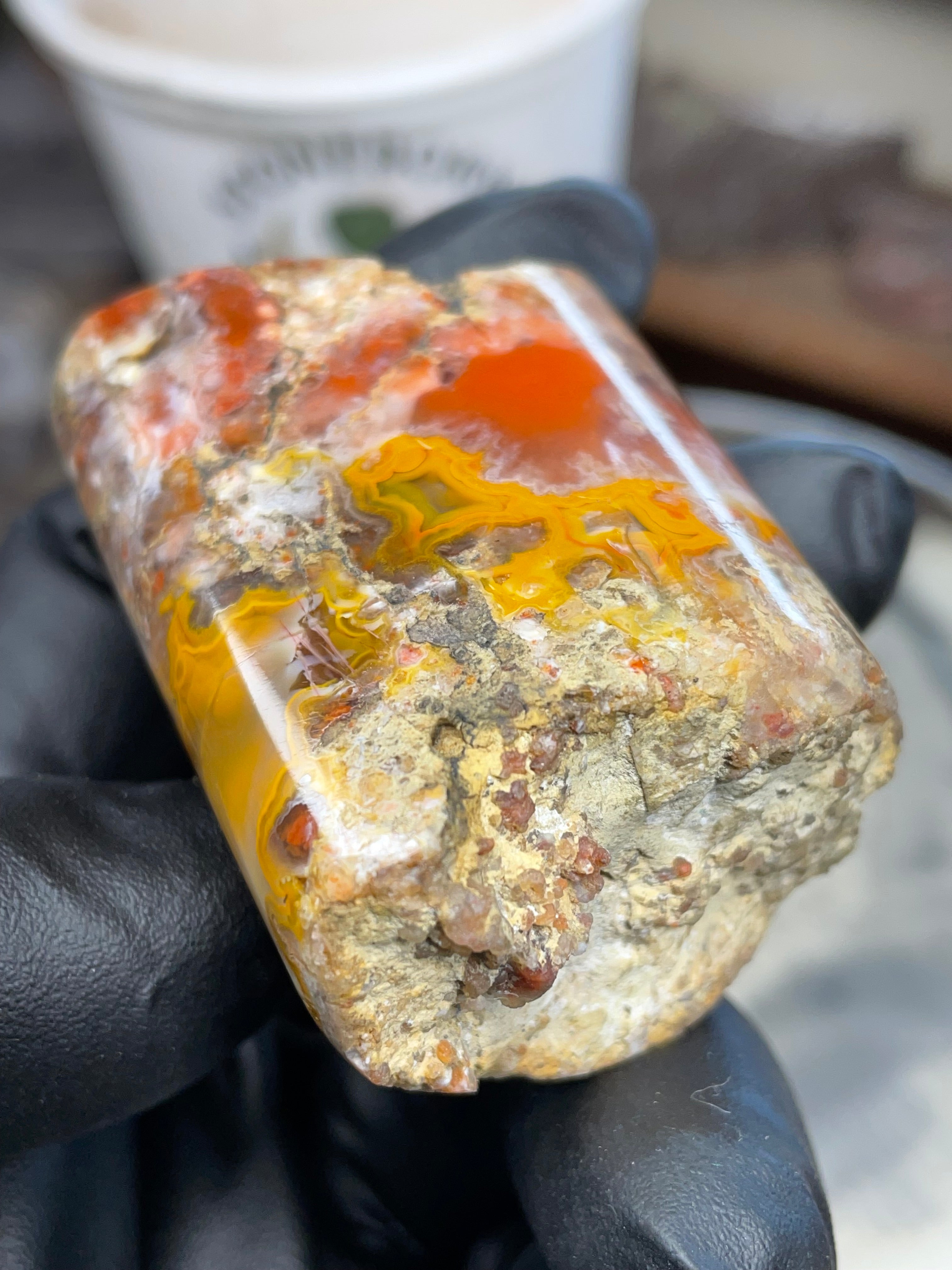Hand-Polished Banded Agate — Raw & Refined StoneBorn Piece
