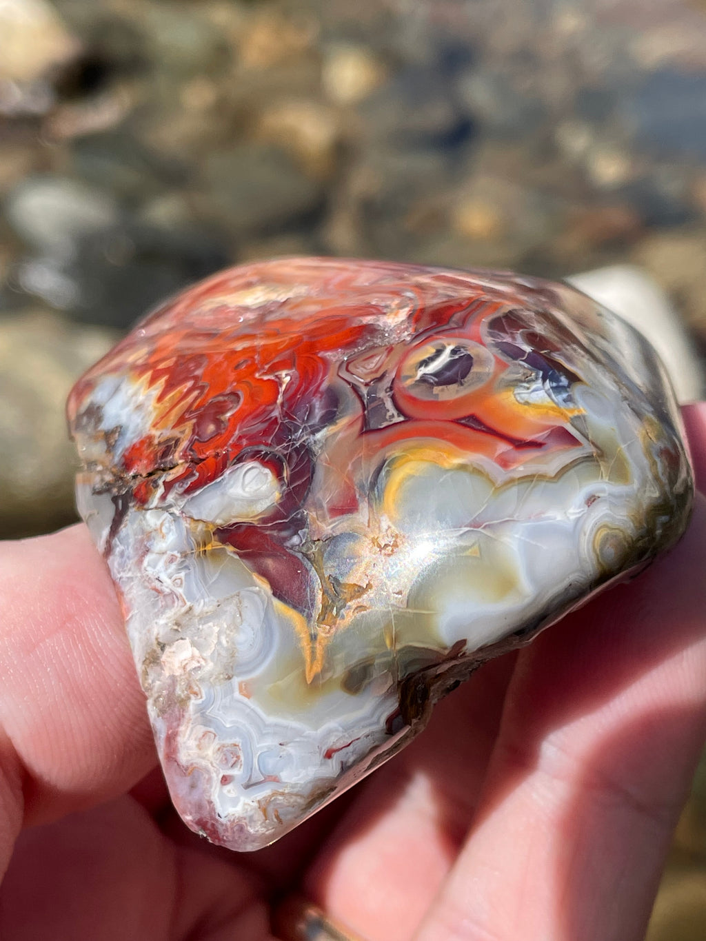 StoneBorn Creations Hand Polished Lace Agate Freeform with Fiery Crimson Banding and Natural Raw Backing