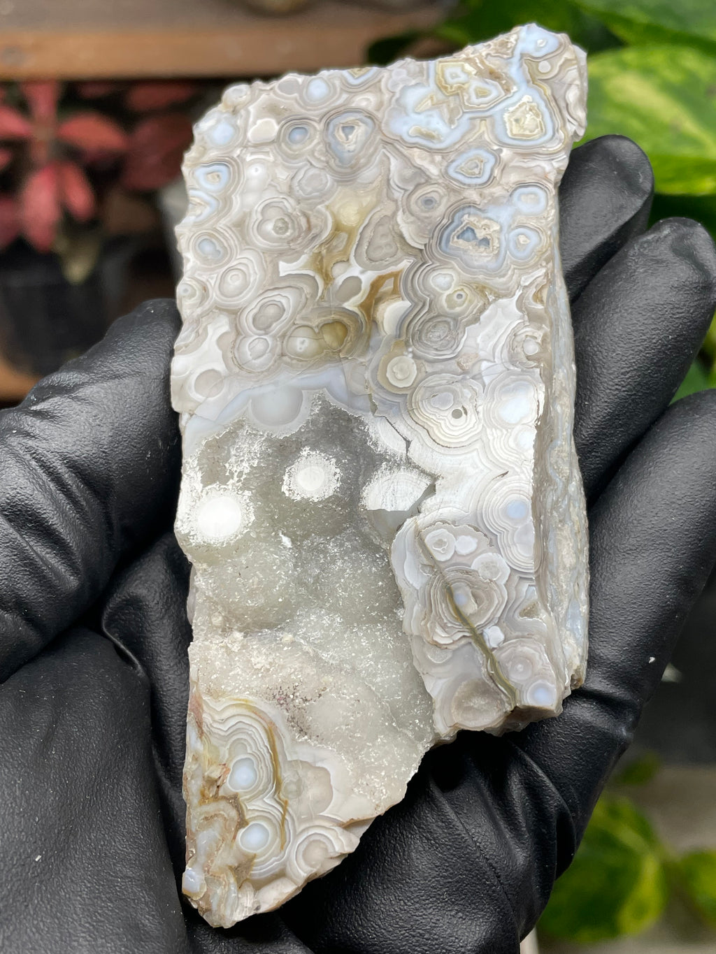 StoneBorn Creations Hand-Polished Lace Agate Pair – River Cut Matching Display Halves with Druzy Crystal Pockets & Intricate Natural Banding