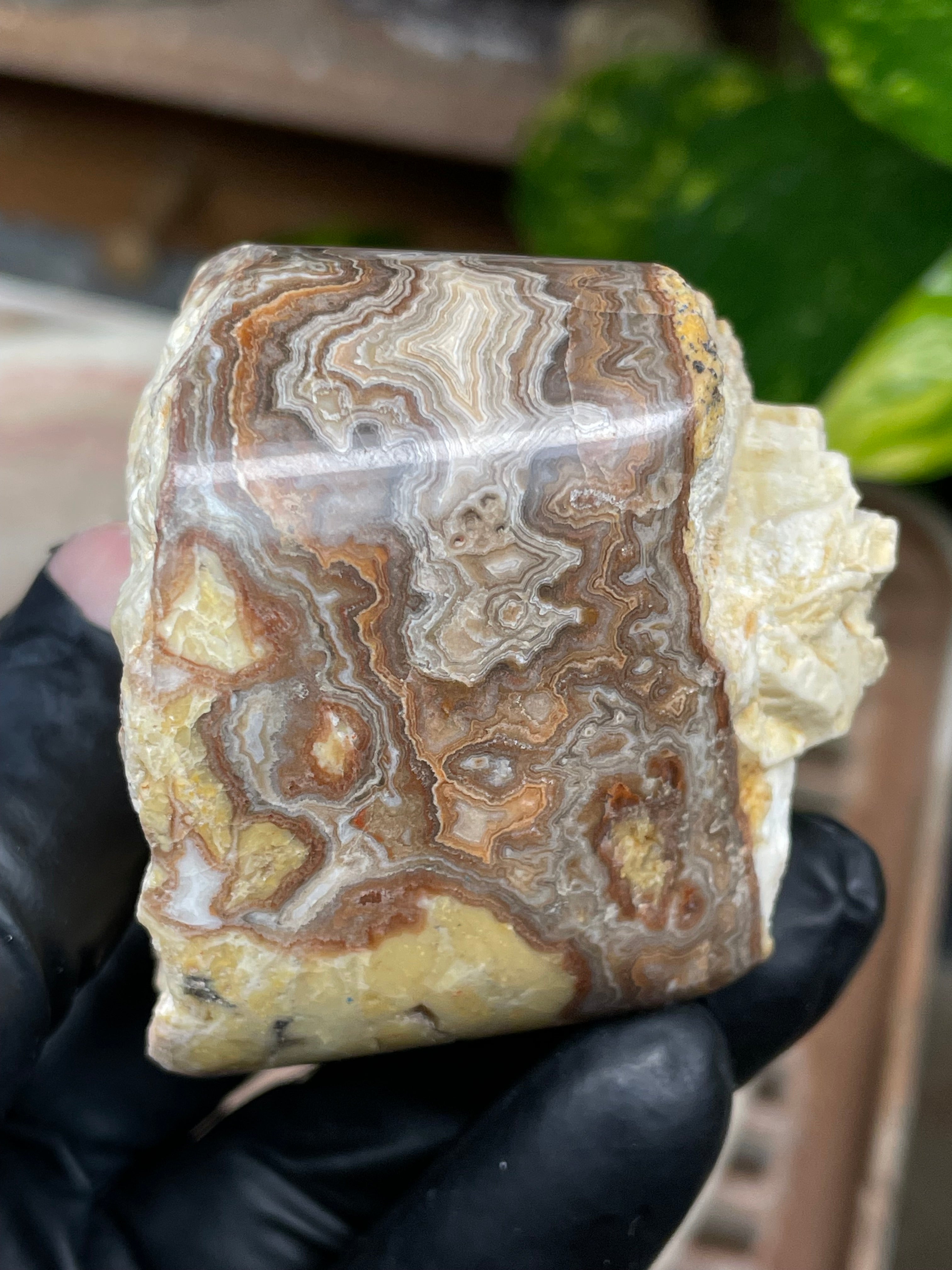 StoneBorn Creations Hand-Polished Banded Lace Agate with Natural Raw Top and Base – Intricate Earth-Toned Banding Freeform Finish