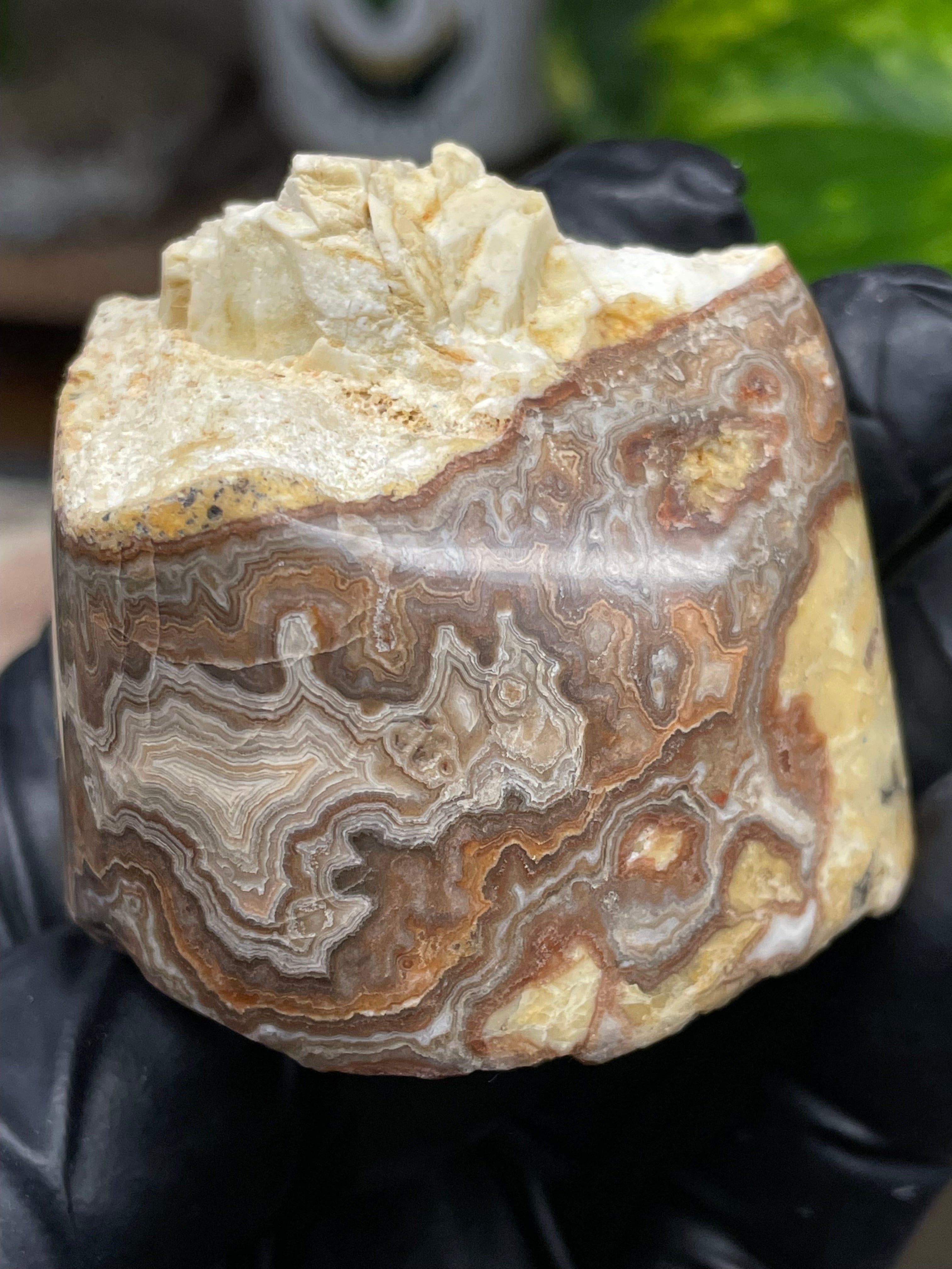 StoneBorn Creations Hand-Polished Banded Lace Agate with Natural Raw Top and Base – Intricate Earth-Toned Banding Freeform Finish