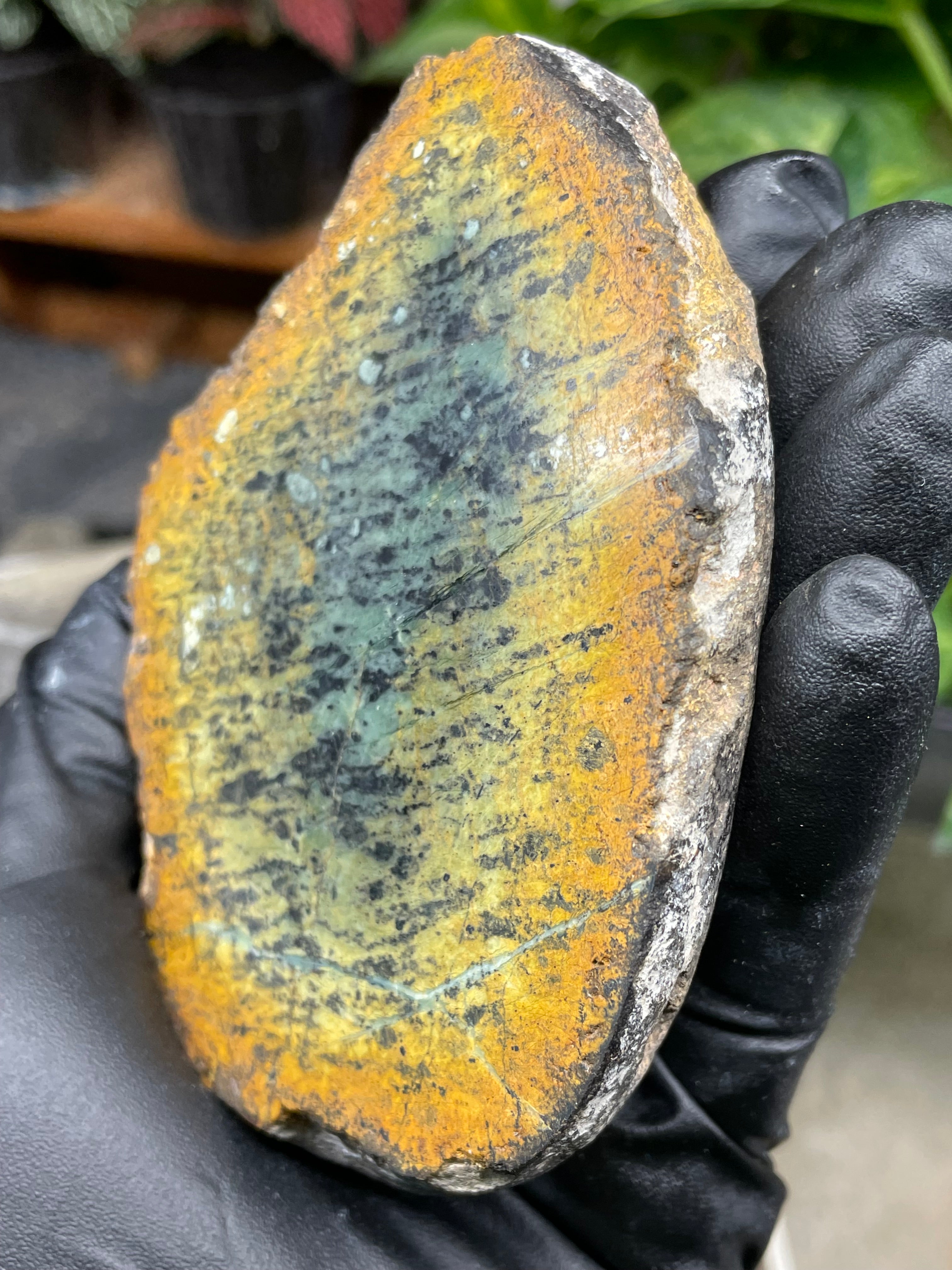StoneBorn Creations Hand-Polished Vermont Greenstone Pair with Earthy Ochre Weathering and Natural Black Mineral Patterning – Freeform Display Halves