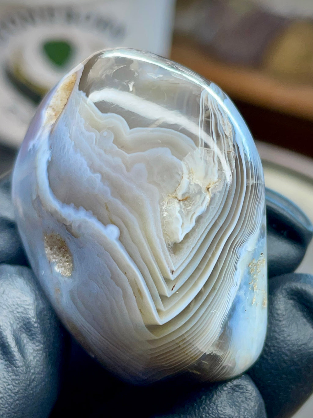 Hand-Polished Botswana Agate | StoneBorn Creations