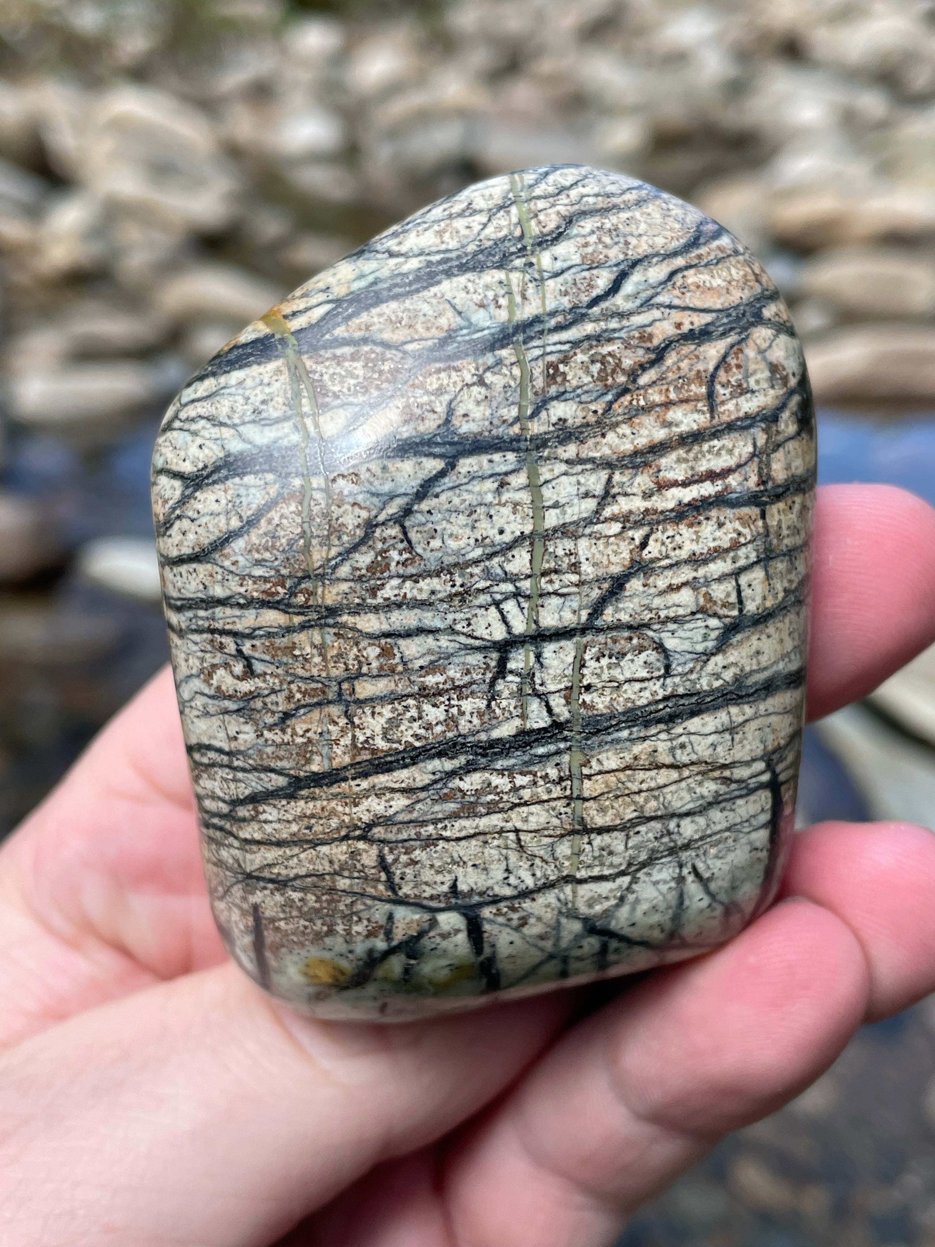 StoneBorn Creations Hand-Polished River Stone Freeform with Natural Black Webbing Patterns and Earthy Veining