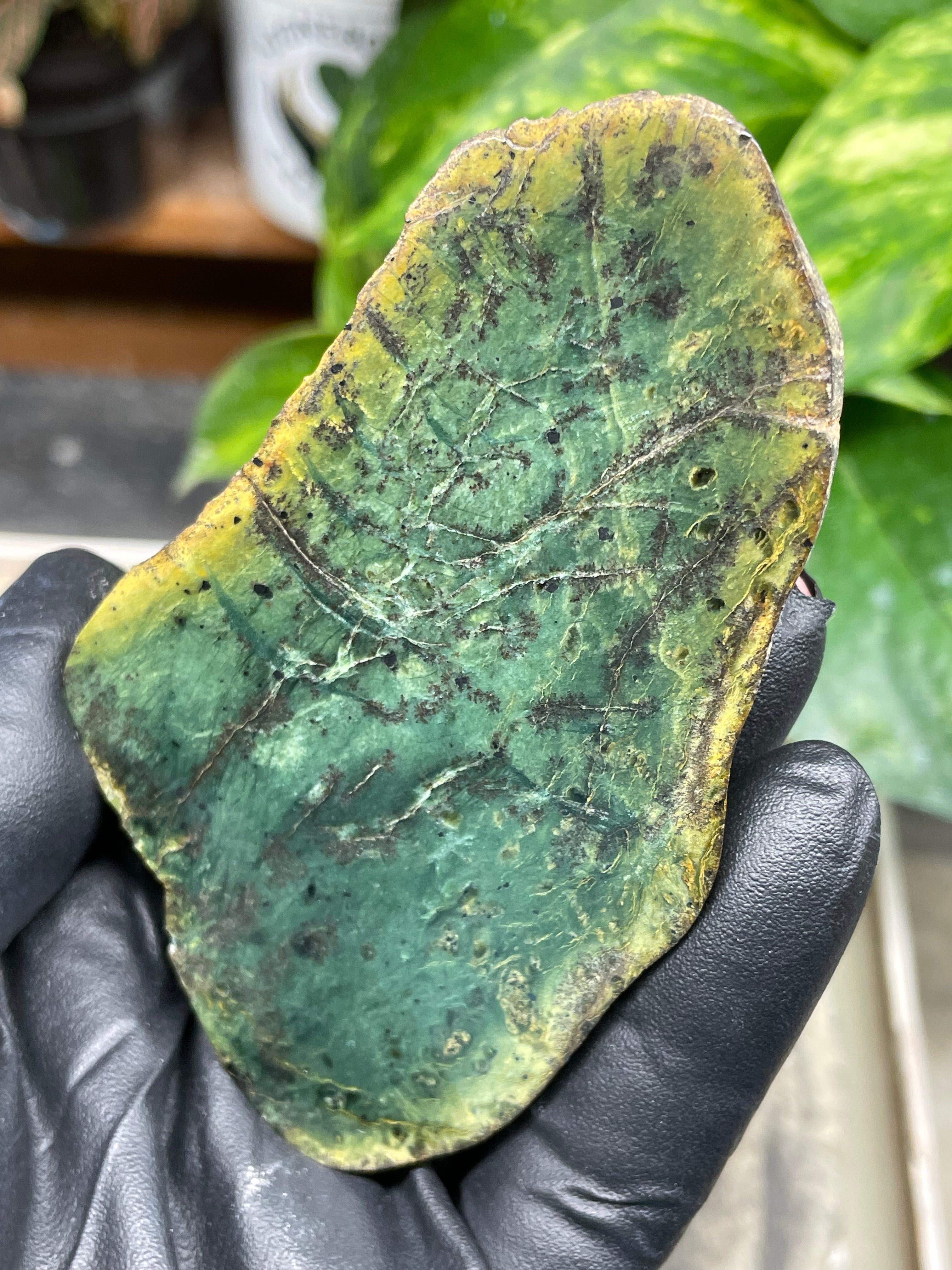 StoneBorn Creations Hand-Polished Vermont Greenstone Pair – Deep Emerald Interior Freeform Halves with Natural Earthy Matrix