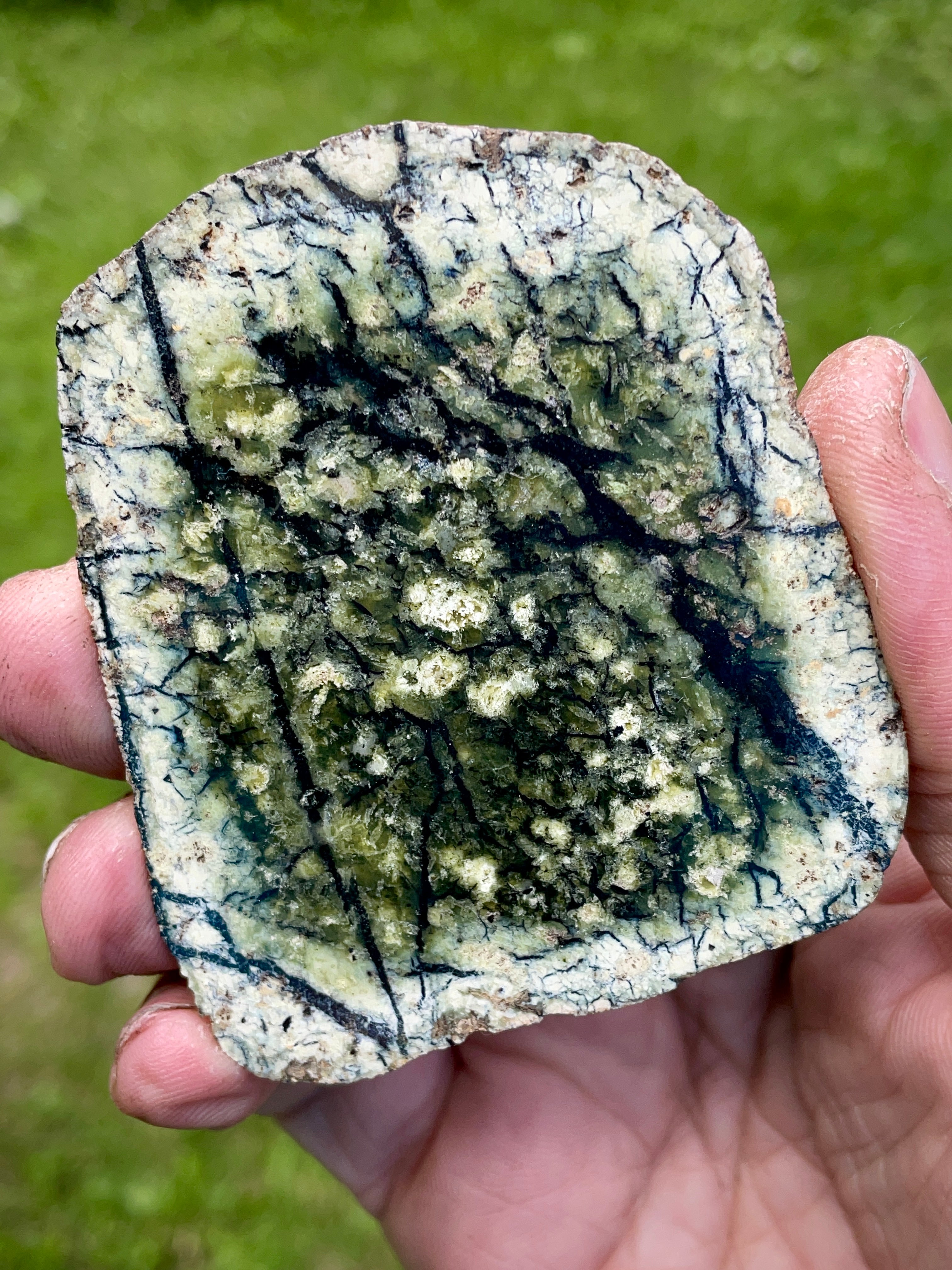 StoneBorn Creations | Hand-Polished Vermont Serpentine Bookmatched Pair | One-of-a-Kind Natural Display Stones