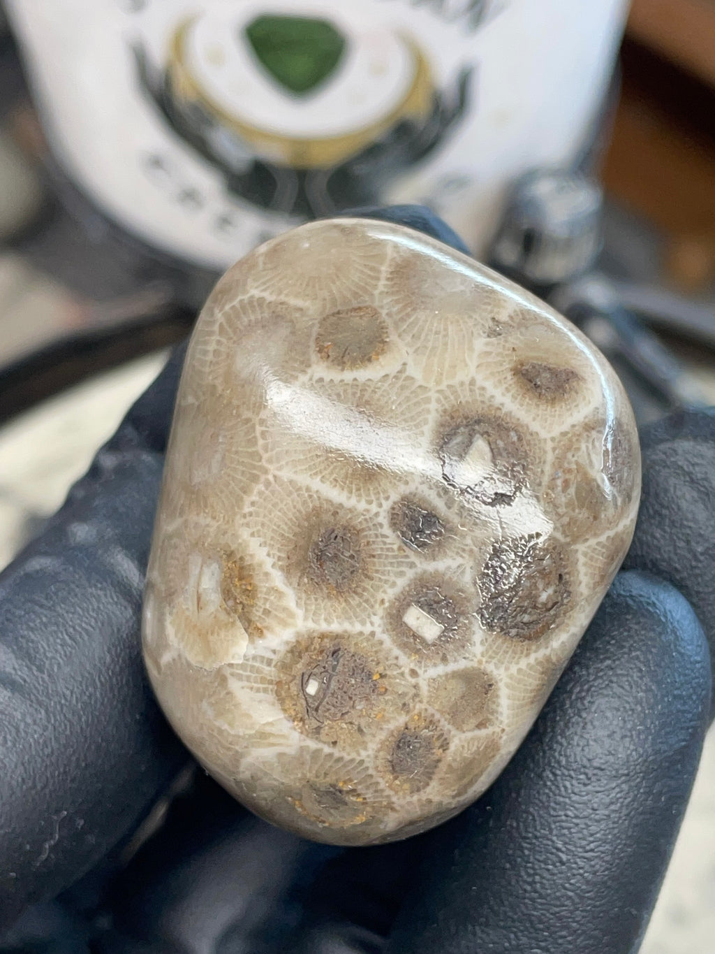 StoneBorn Creations – Polished Petoskey Stone (Ancient Fossil Coral)