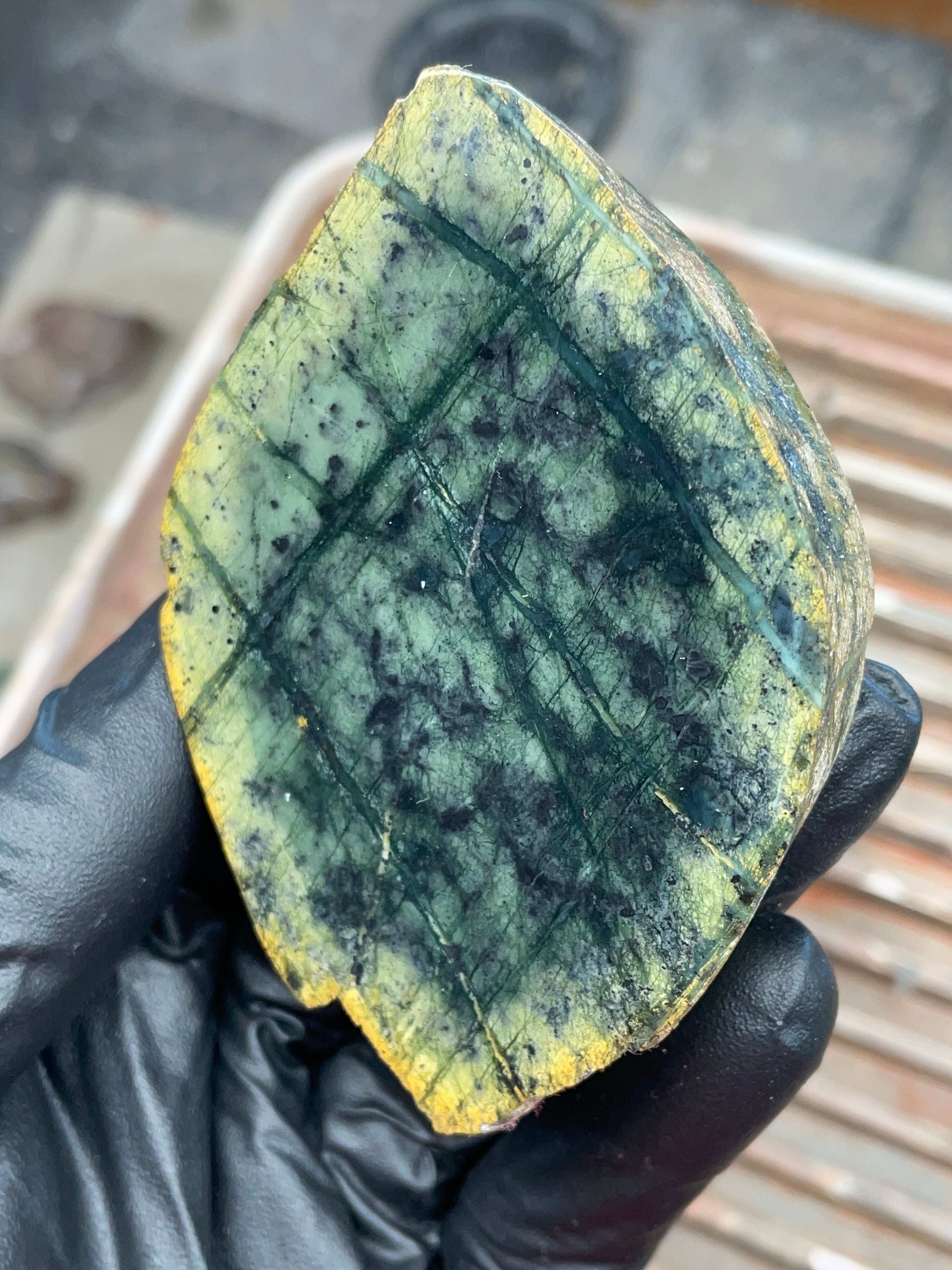StoneBorn Creations | Polished Vermont Greenstone “Glacier Grid” Slab — Deep Forest Green + Golden Rind