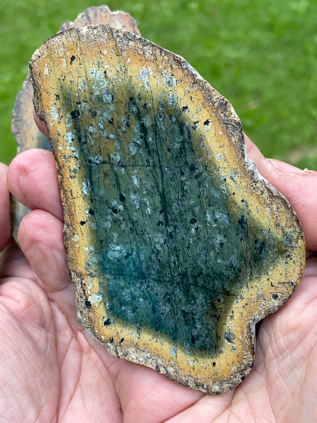 StoneBorn Creations – Deep Green Serpentine Stone Pair | Natural Matching Halves with Golden Earth Tones