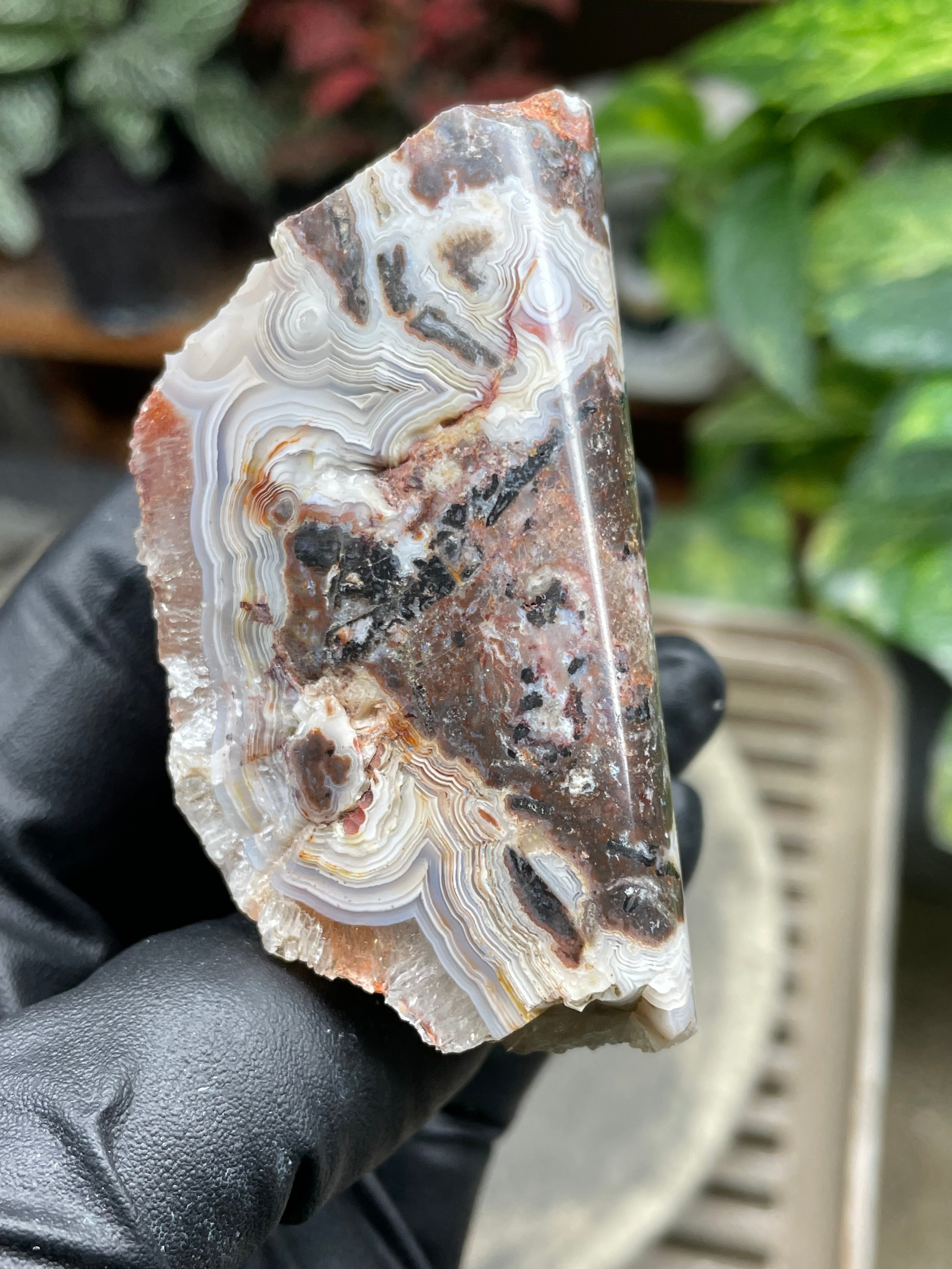 StoneBorn Creations Hand-Polished Lace Agate Freeform with Curved Polished Face, Intricate Fortification Banding & Natural Druzy Crystal Backing