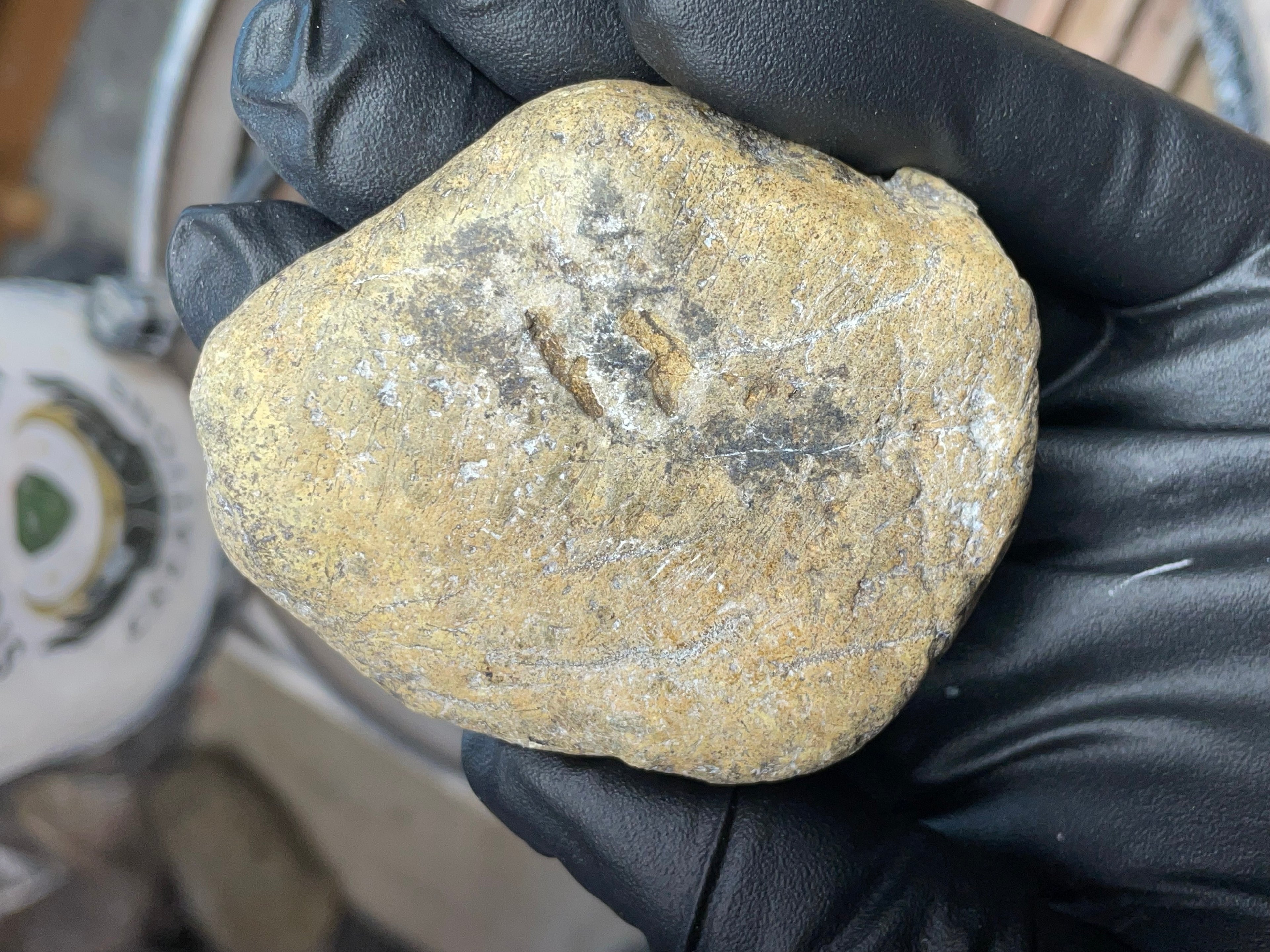 StoneBorn Creations – Hand-Polished Vermont Serpentine “Jade” Window Stone