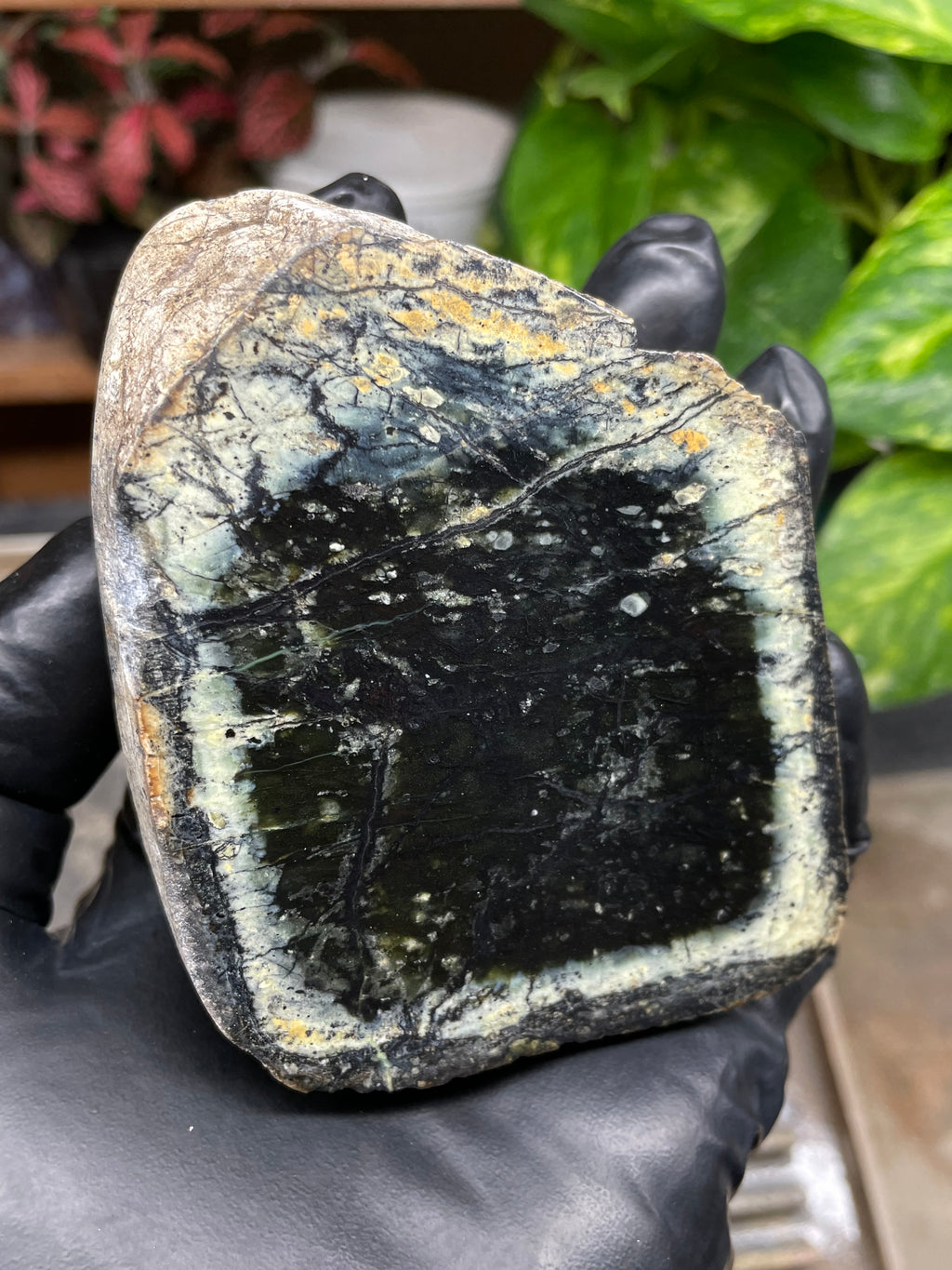 StoneBorn Creations Hand-Polished Vermont Serpentine Pair – River-Cut Matching Halves with Dark Core & Natural Green Halo