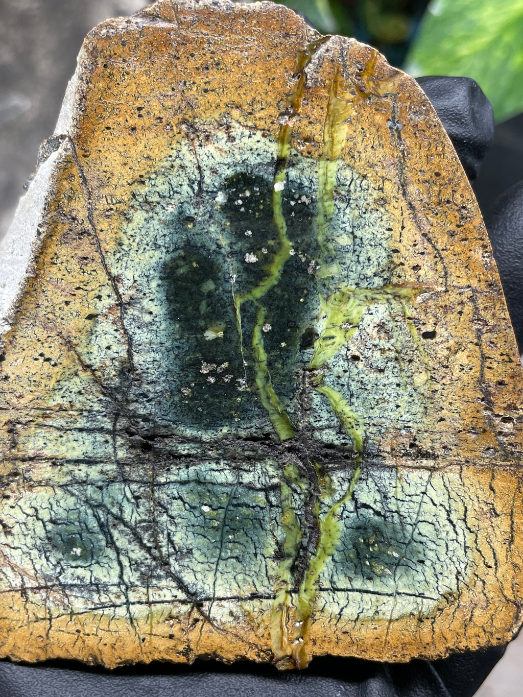 StoneBorn Creations Hand-Polished Vermont Serpentine Pair – River-Cut Matching Halves with Green Mineral Veins & Natural Fracture Patterns