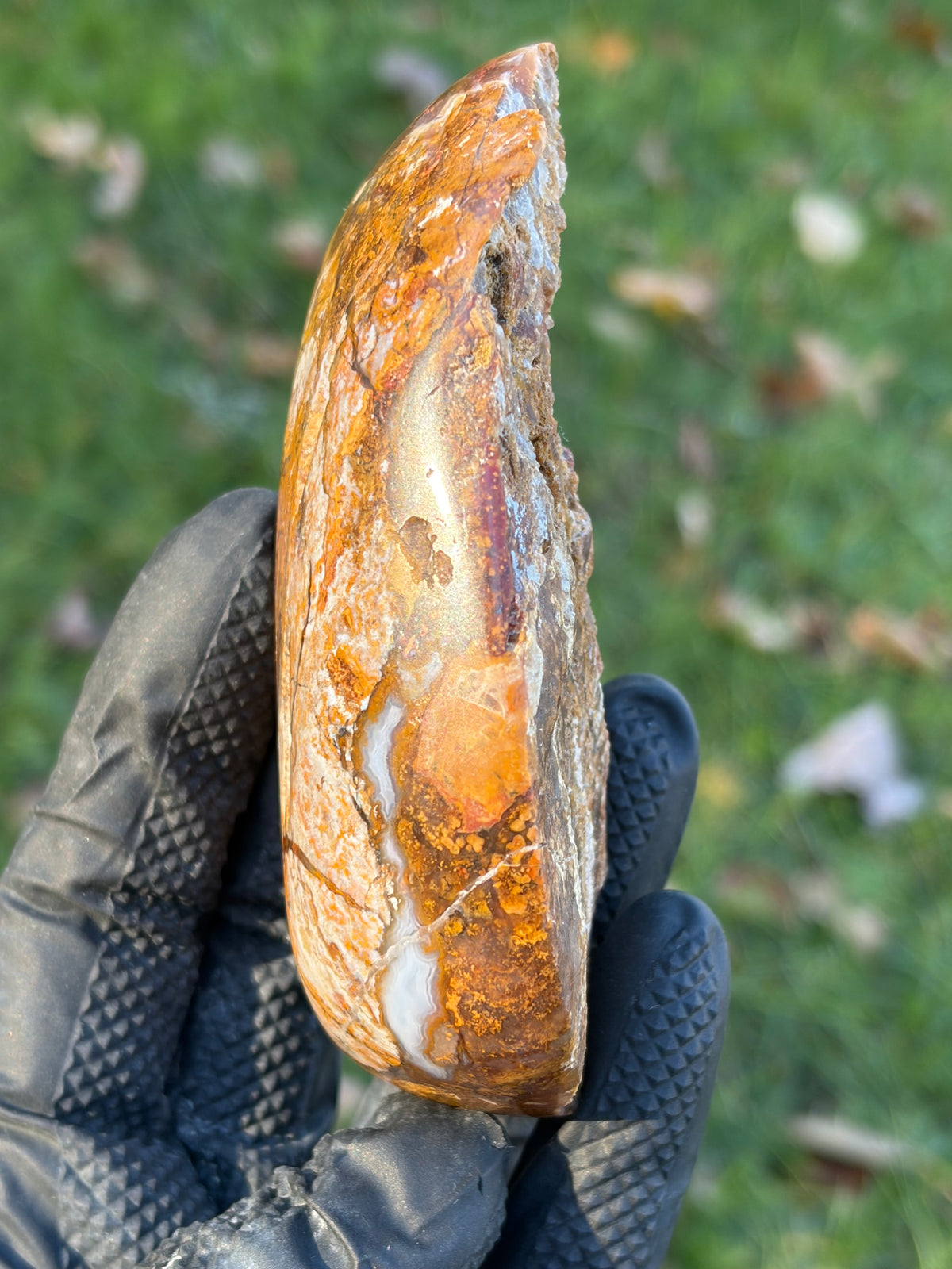 StoneBorn Creations – Natural Agate & Jasper Display Stone | Hand-Polished with Blue-Gray Agate Veins