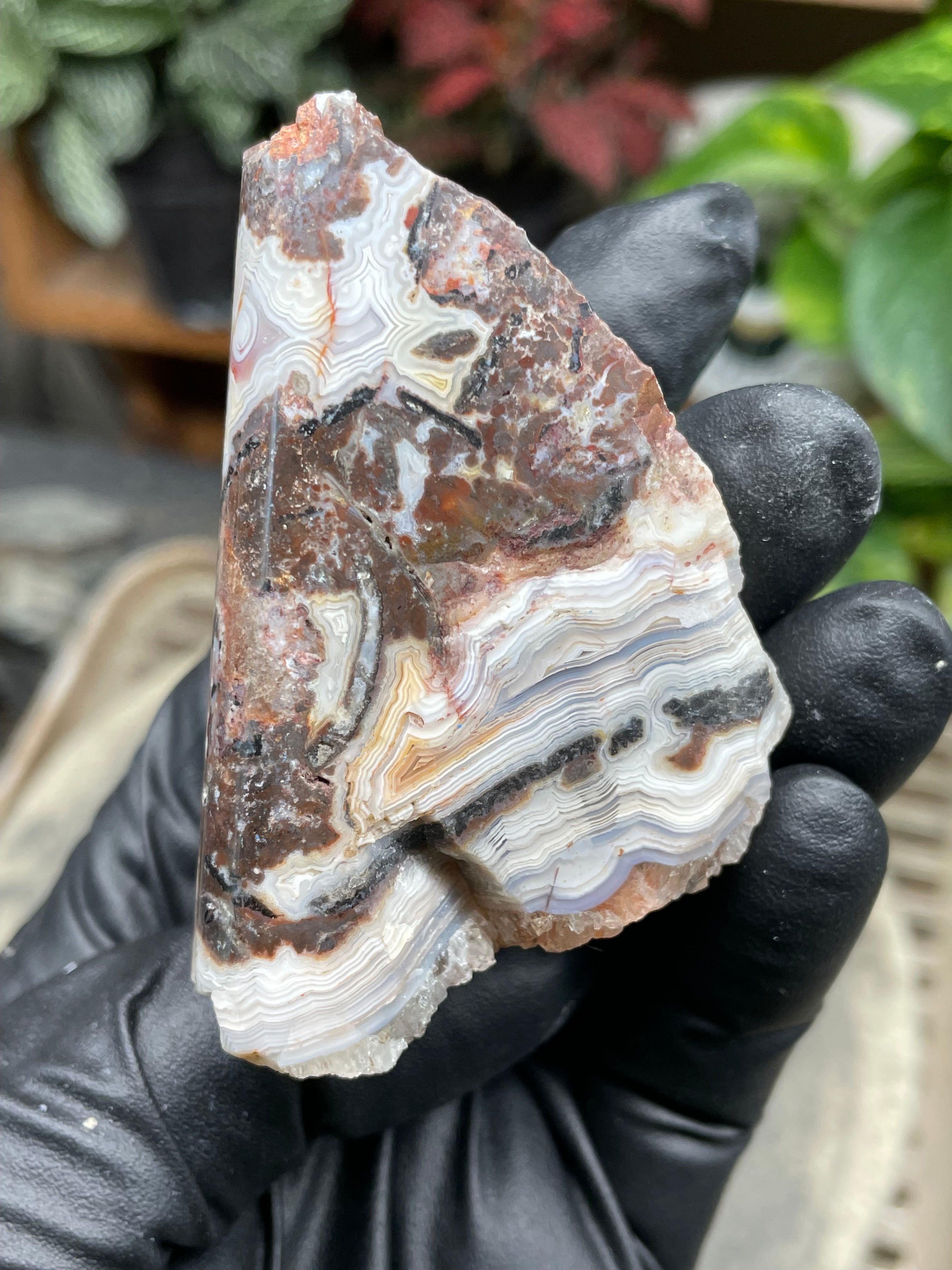 StoneBorn Creations Hand-Polished Lace Agate Freeform with Curved Polished Face, Intricate Fortification Banding & Natural Druzy Crystal Backing