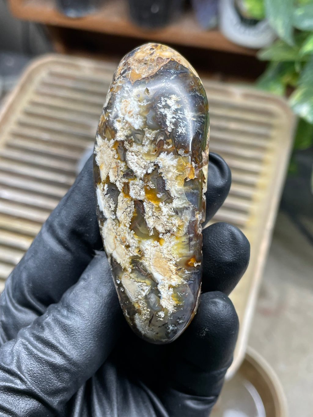 StoneBorn Creations Hand-Polished Trent Agate Freeform with Creamy Plume Inclusions, Druzy Cavities & Earth-Toned Chalcedony