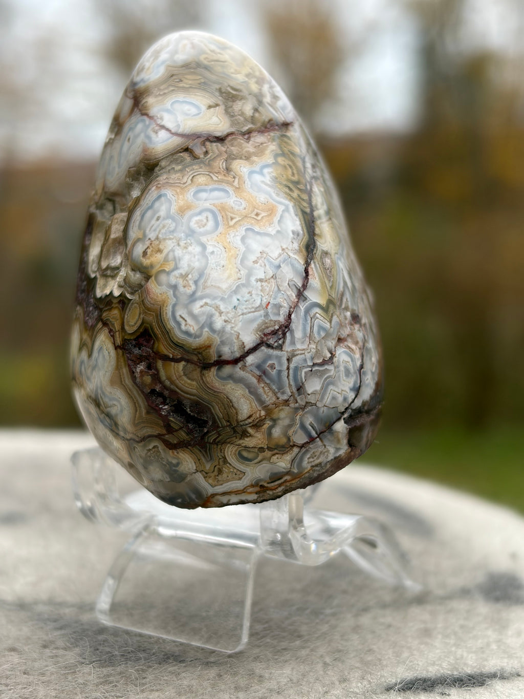 StoneBorn Creations – Crazy Lace Agate | Intricate Blue, Cream & Golden Banding | Hand-Polished Natural Stone