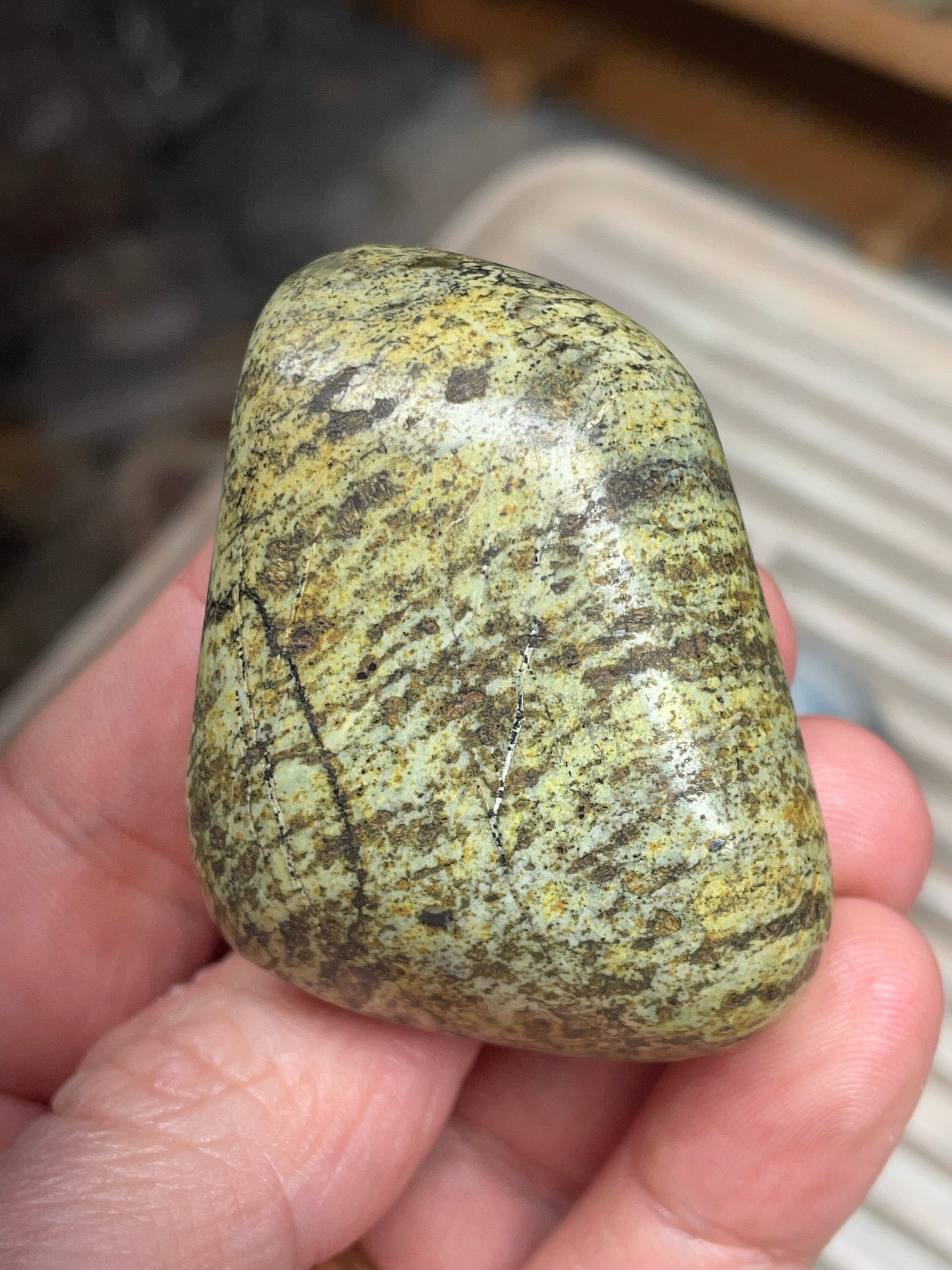 StoneBorn Creations • Hand-Polished Vermont Greenstone (Serpentine) • Moss & Shadow Speckle • Palm Stone