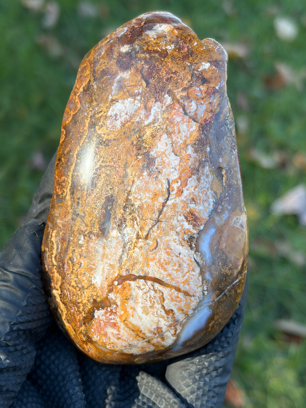 StoneBorn Creations – Natural Agate & Jasper Display Stone | Hand-Polished with Blue-Gray Agate Veins