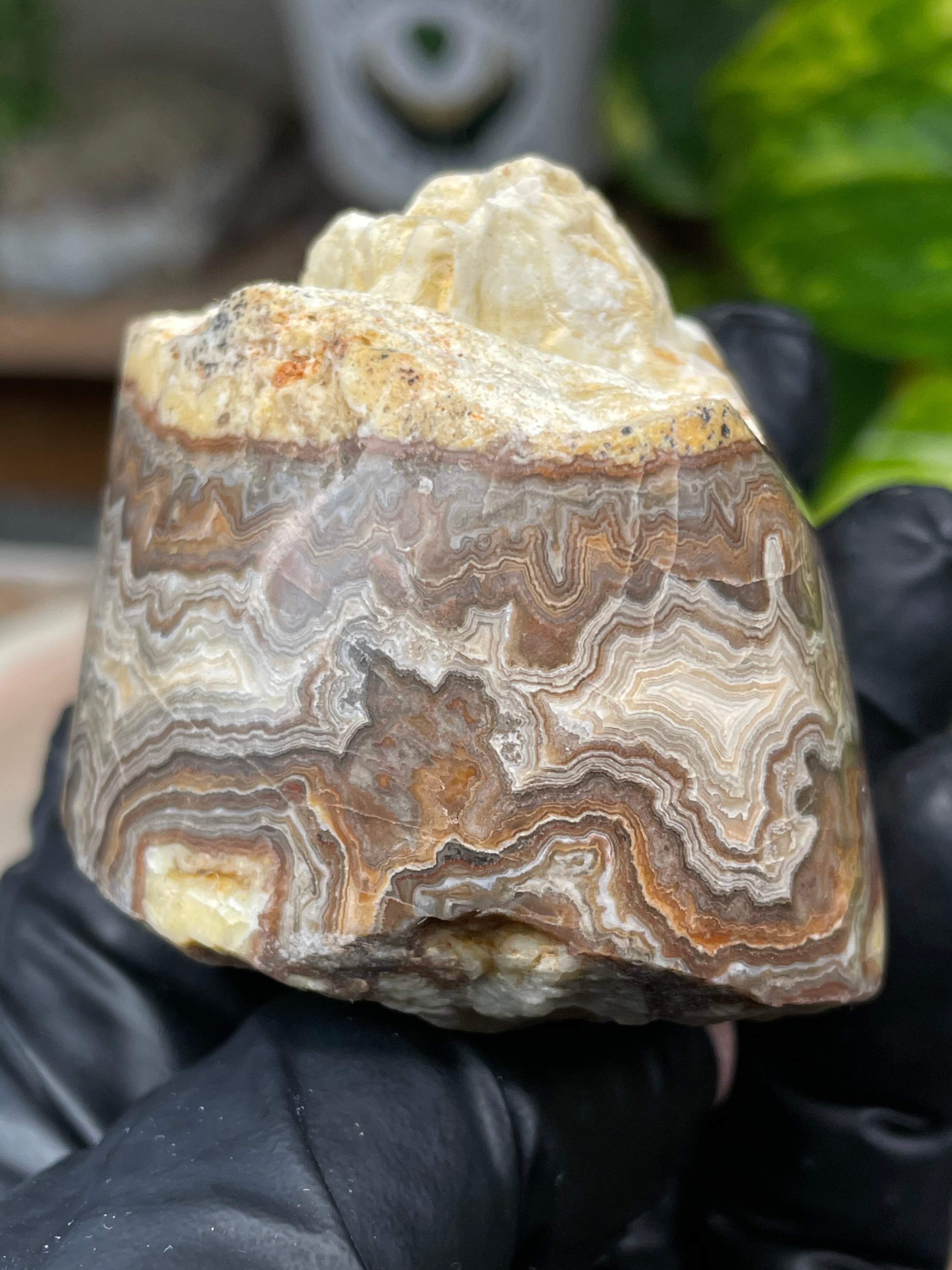 StoneBorn Creations Hand-Polished Banded Lace Agate with Natural Raw Top and Base – Intricate Earth-Toned Banding Freeform Finish