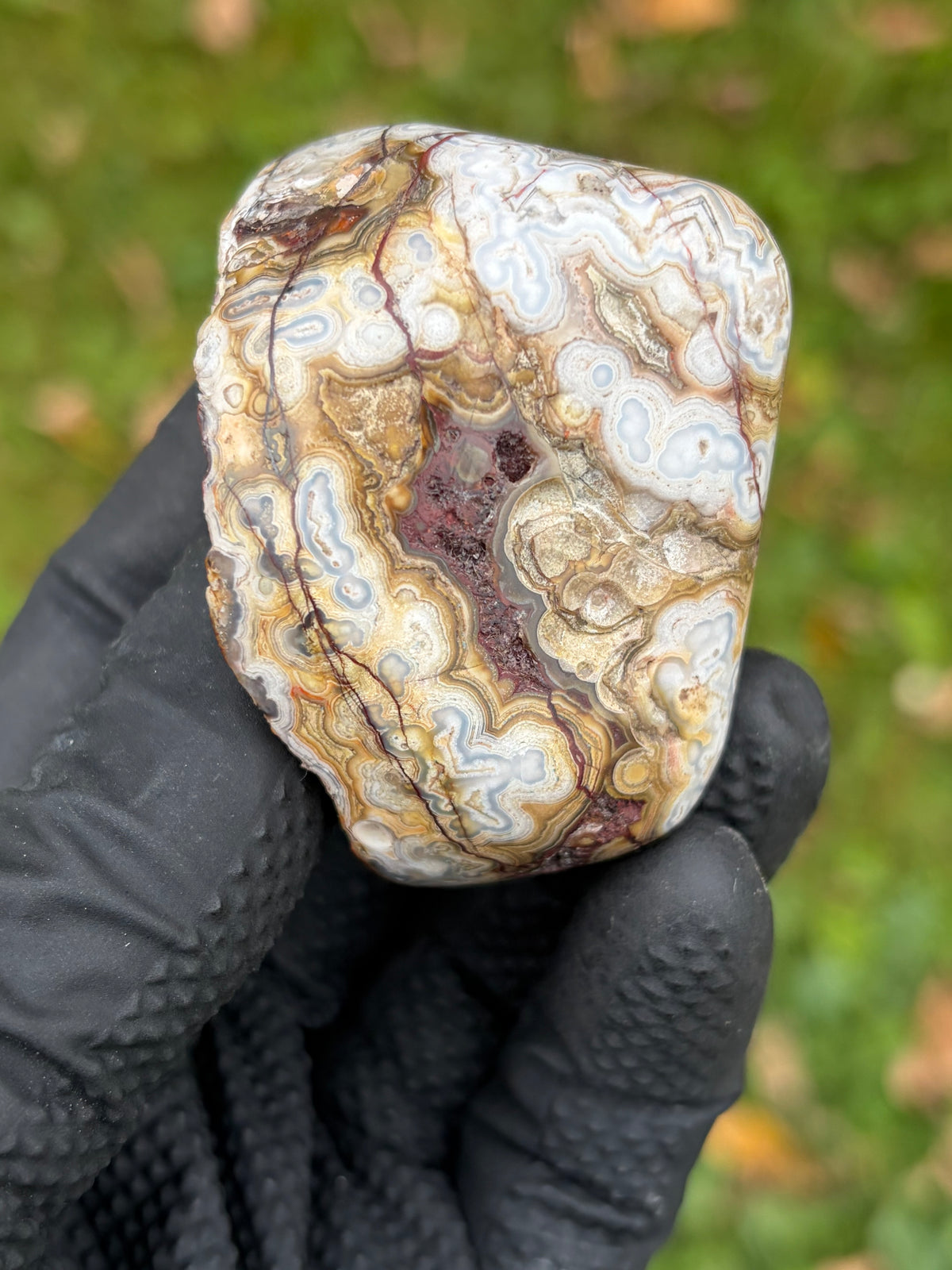 StoneBorn Creations – Crazy Lace Agate | Intricate Blue, Cream & Golden Banding | Hand-Polished Natural Stone