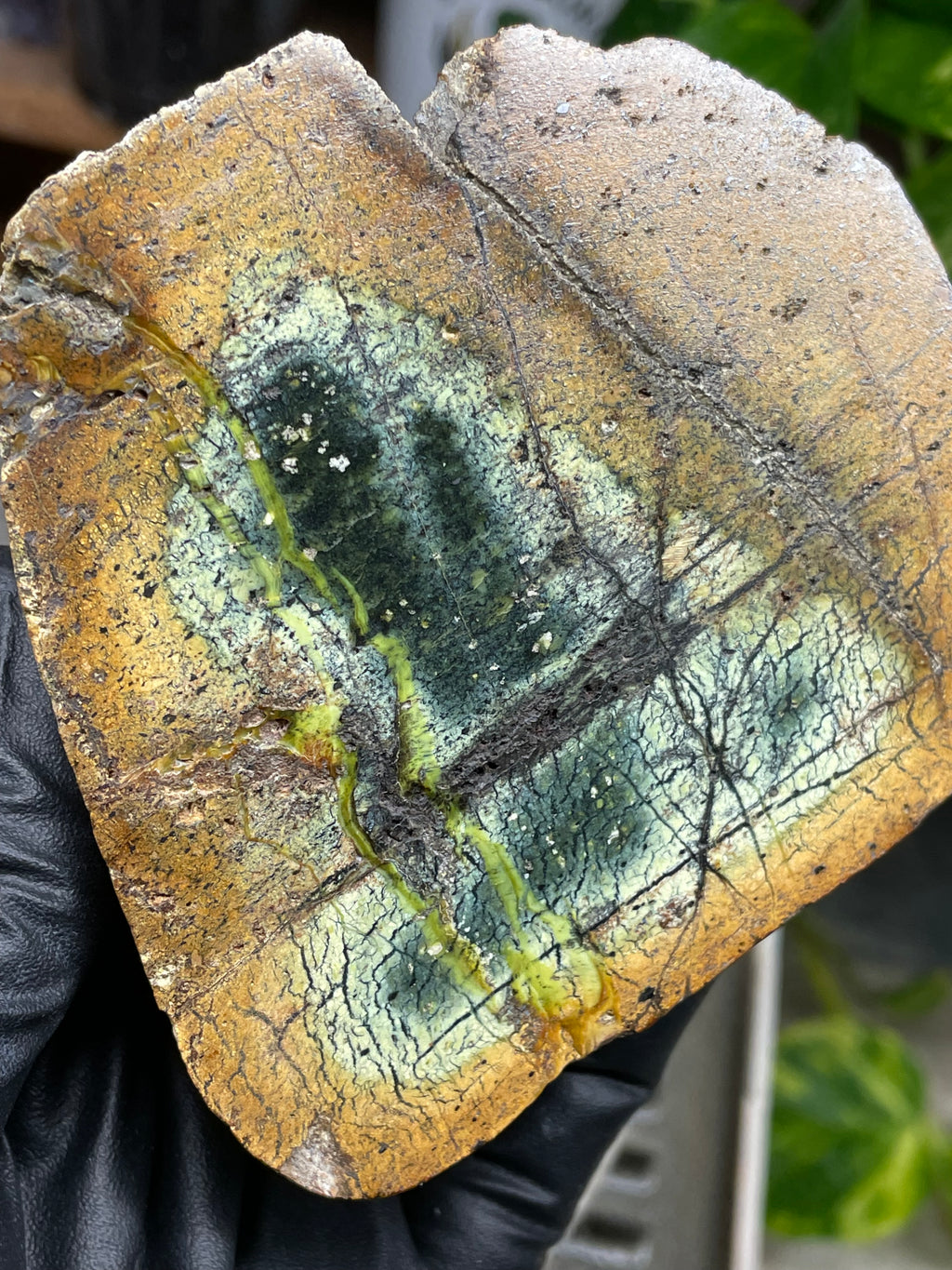 StoneBorn Creations Hand-Polished Vermont Serpentine Pair – River-Cut Matching Halves with Green Mineral Veins & Natural Fracture Patterns