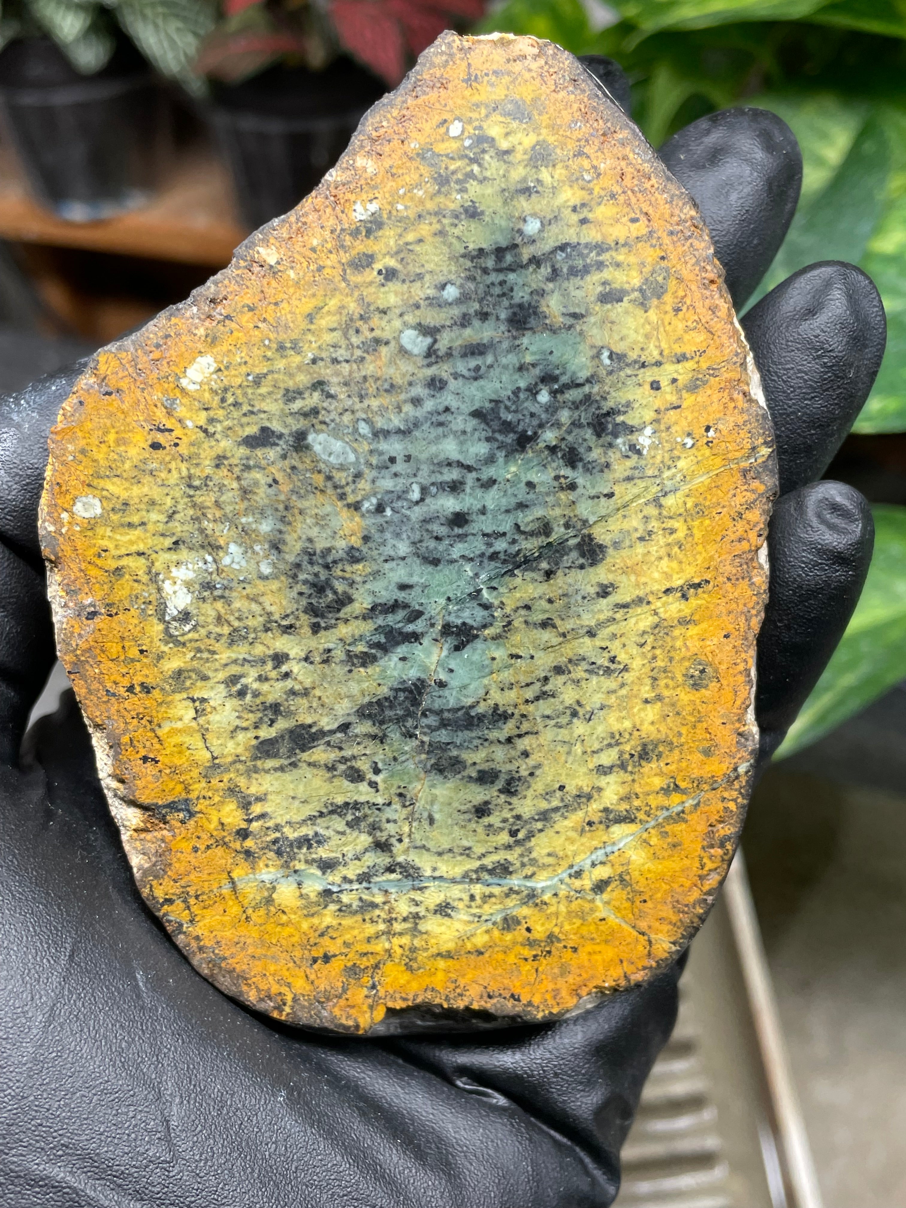StoneBorn Creations Hand-Polished Vermont Greenstone Pair with Earthy Ochre Weathering and Natural Black Mineral Patterning – Freeform Display Halves