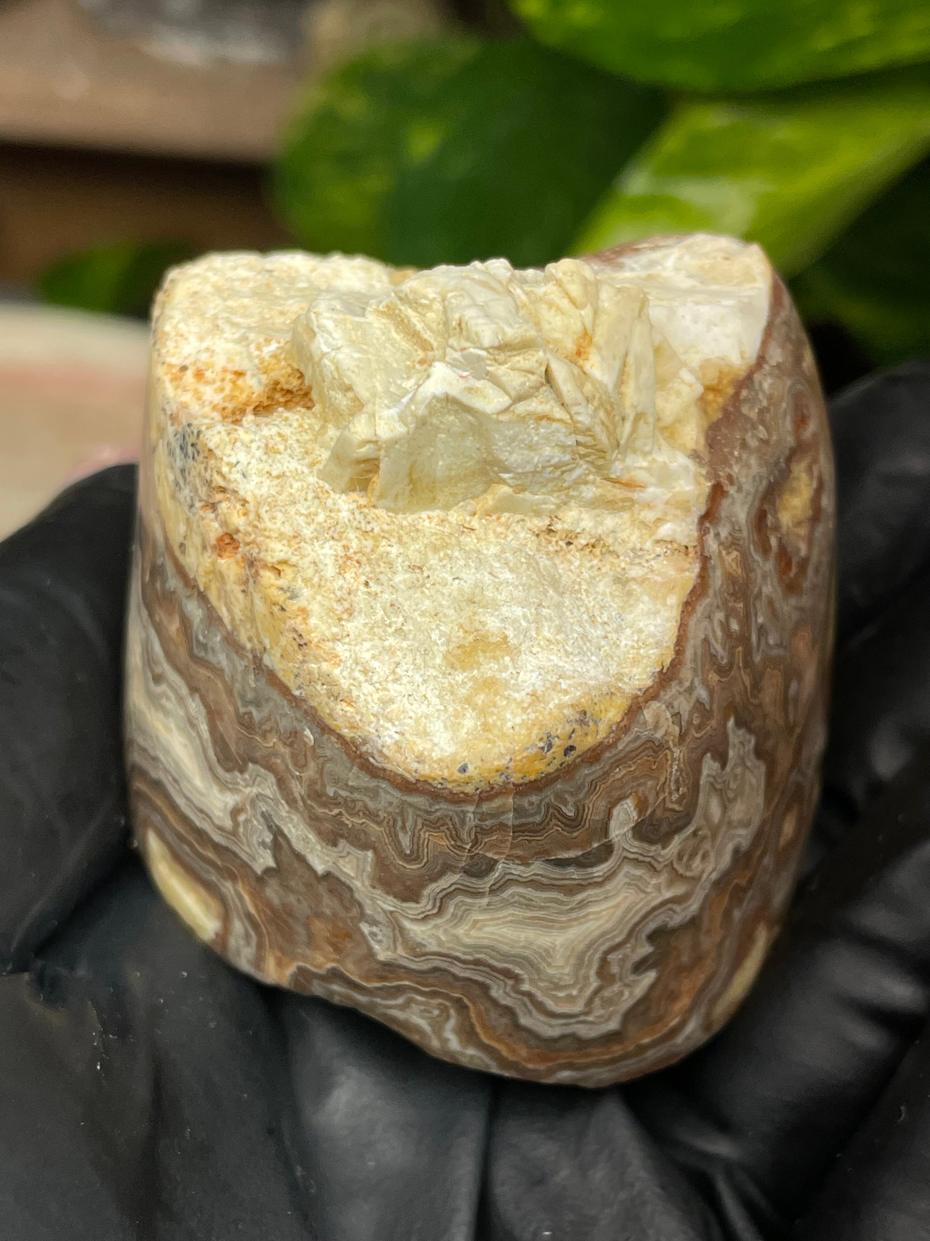 StoneBorn Creations Hand-Polished Banded Lace Agate with Natural Raw Top and Base – Intricate Earth-Toned Banding Freeform Finish