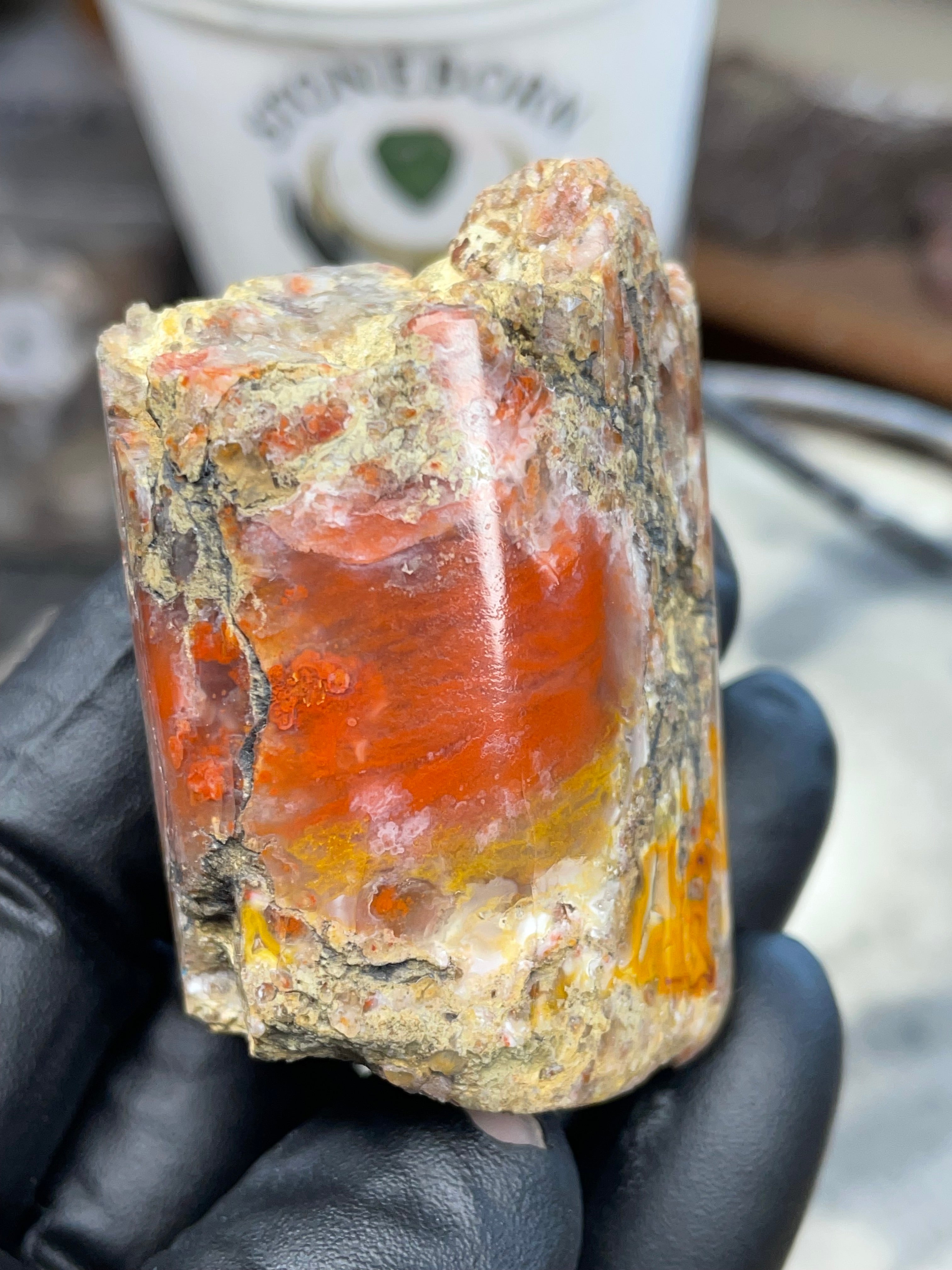 Hand-Polished Banded Agate — Raw & Refined StoneBorn Piece