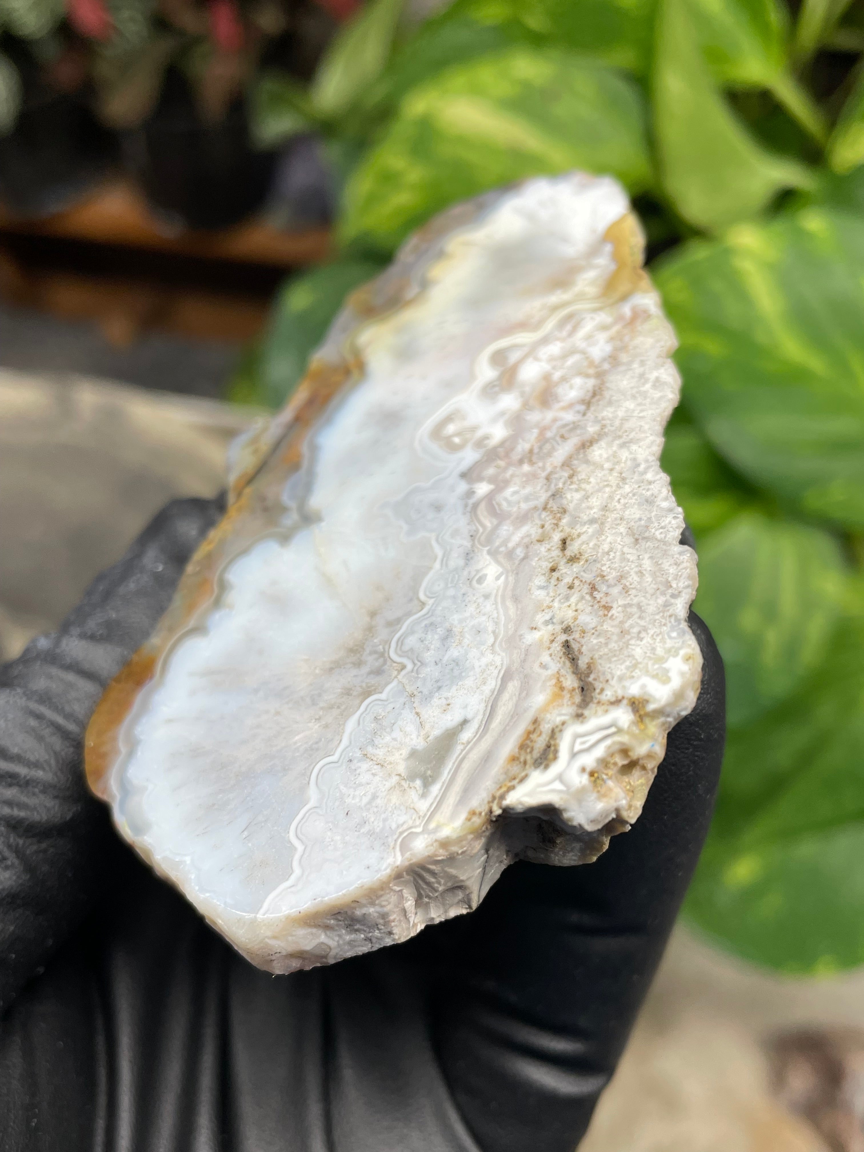 StoneBorn Creations Hand-Polished Agate Pair – Soft White Plume Details, Natural Banding & Raw Earthy Edges