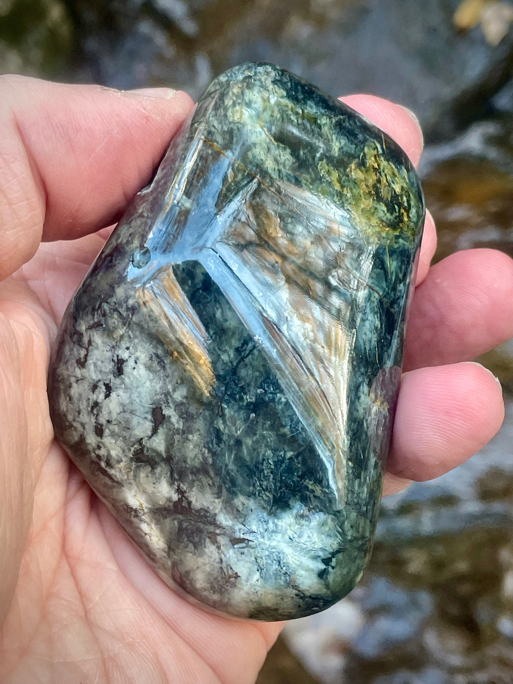 Polished Vermont Actinolite With Golden Tremolite Blades • Rare Crystal Formation