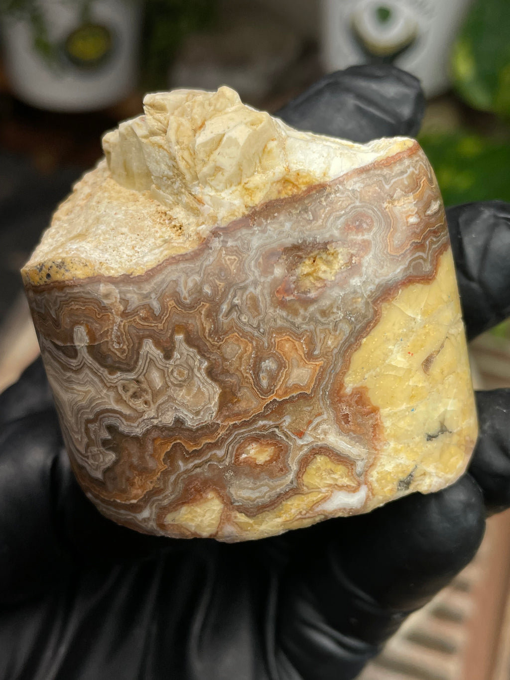 StoneBorn Creations Hand-Polished Banded Lace Agate with Natural Raw Top and Base – Intricate Earth-Toned Banding Freeform Finish