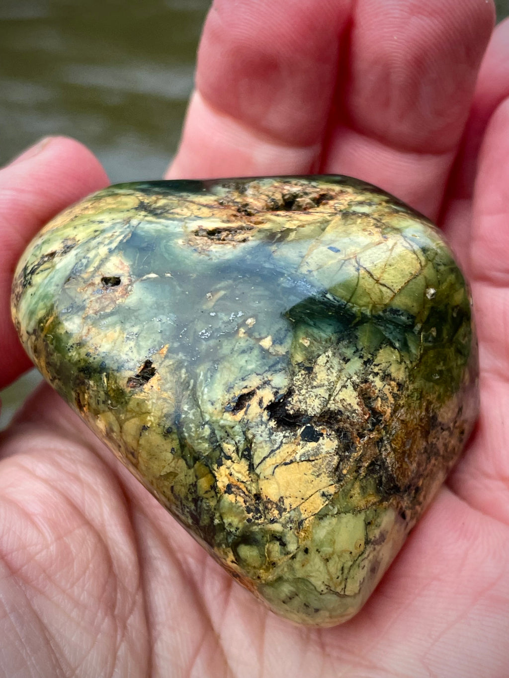 🌲 Polished Vermont Greenstone – Earth-Gold Forest Pattern (Hand-Collected & Polished)