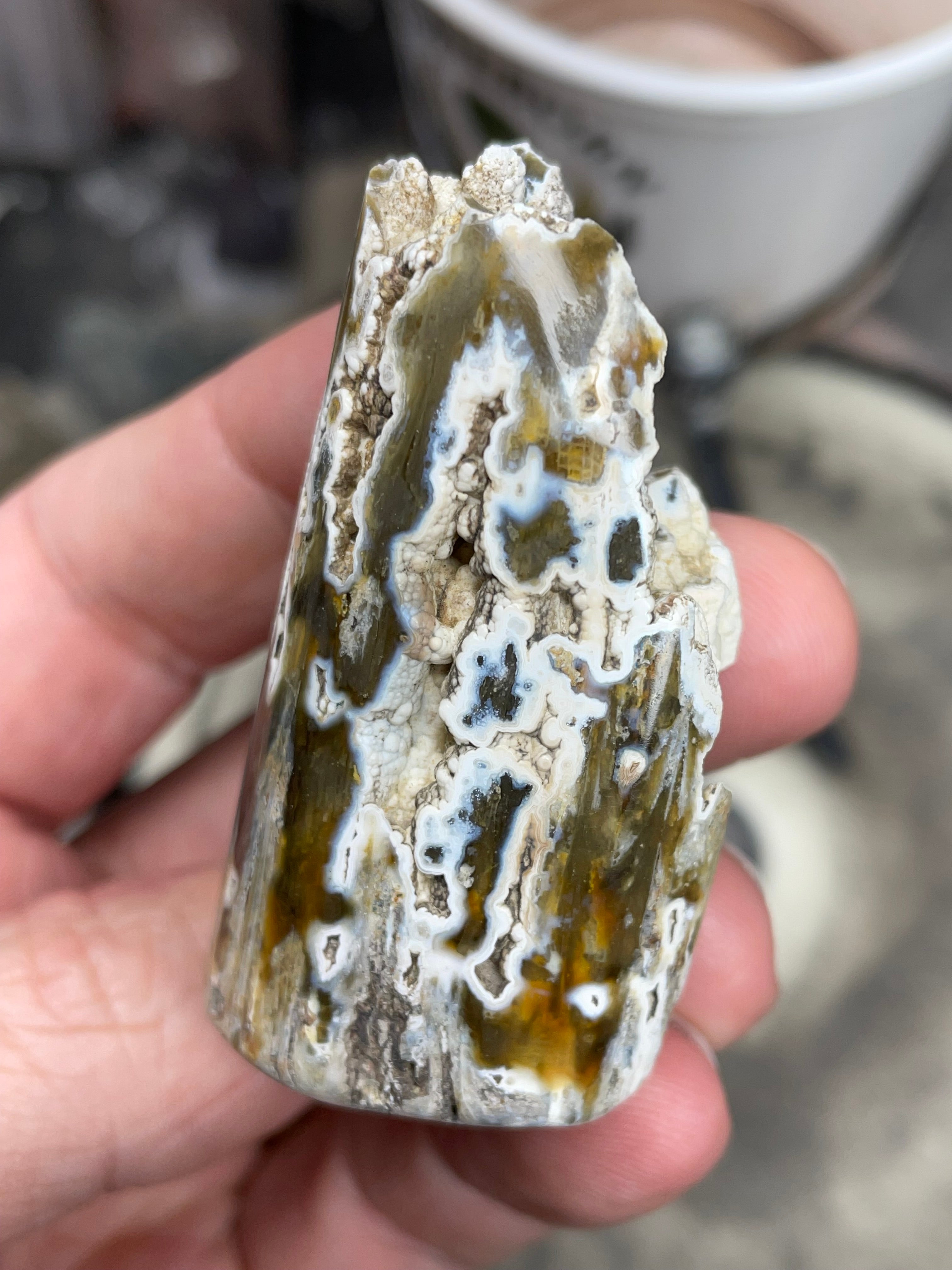 Agatized Coral – Hand Shaped & Polished Freeform