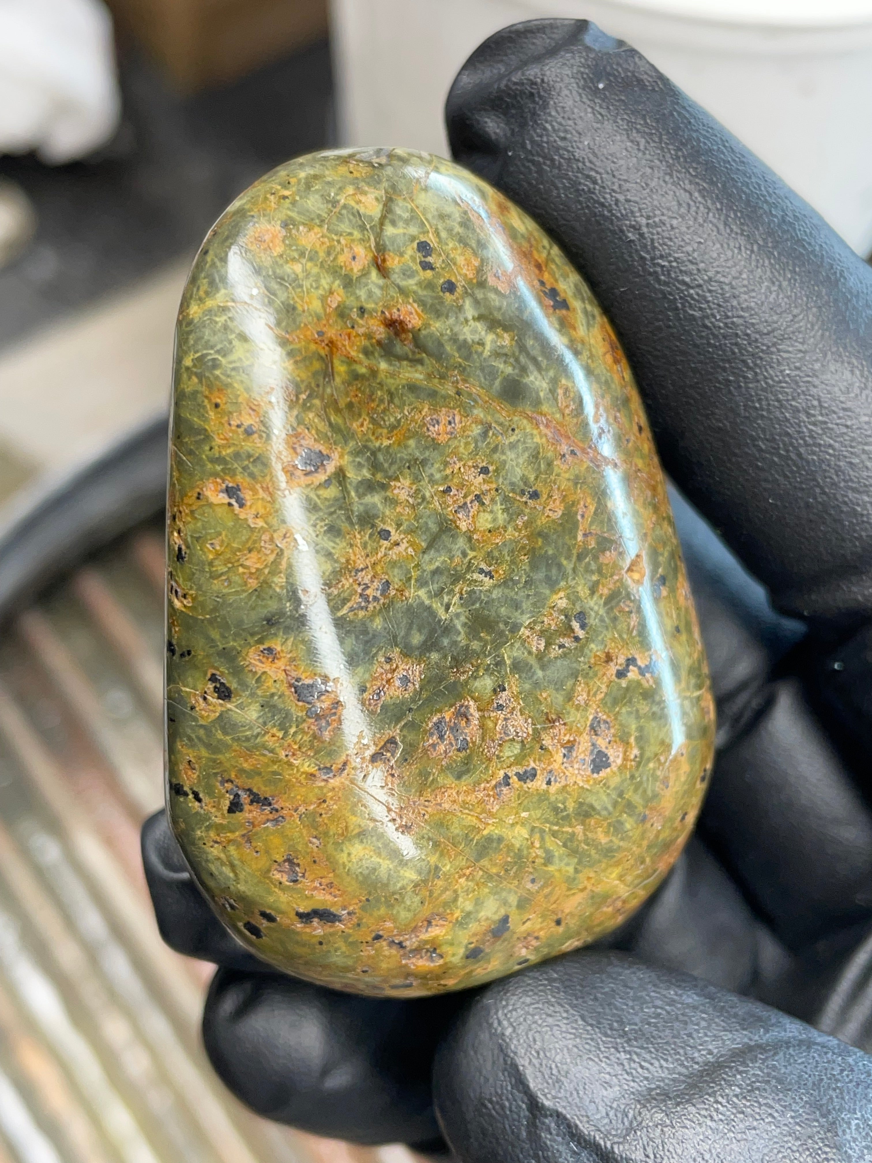 Green Serpentine with Magnetite — Hand-Polished Freeform Stone
