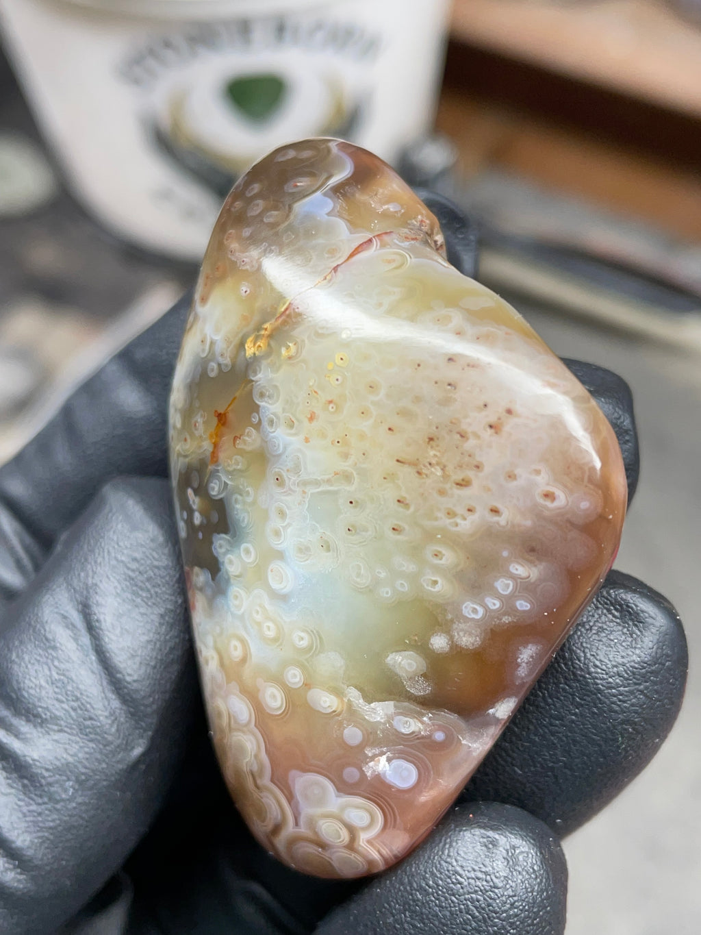 StoneBorn Creations Hand-Polished Botswana Agate – Orbicular “Eye” Patterns with Natural Pocket
