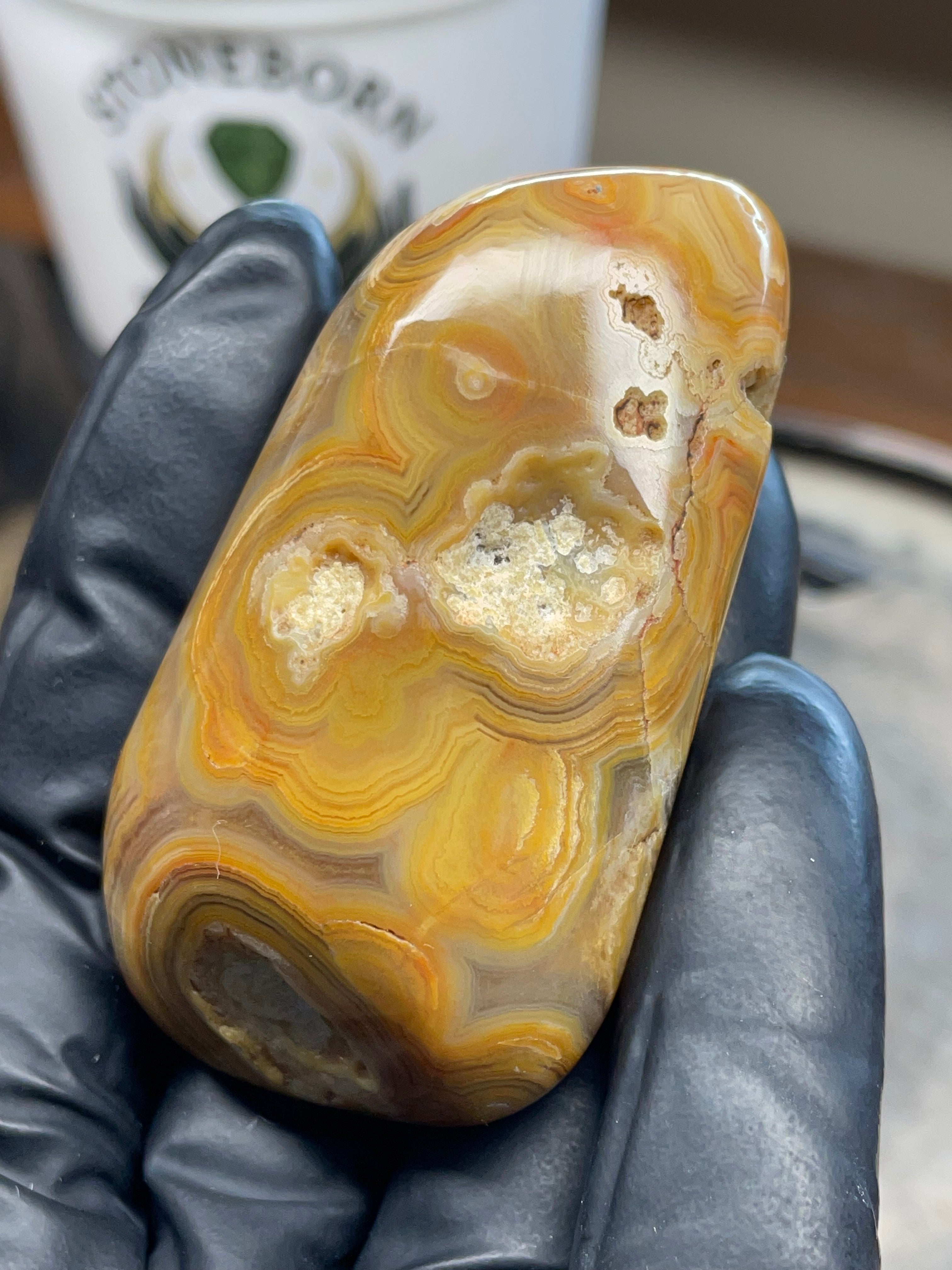 🌾 Crowley Ridge Agate — Hand Polished Stone | StoneBorn Creations