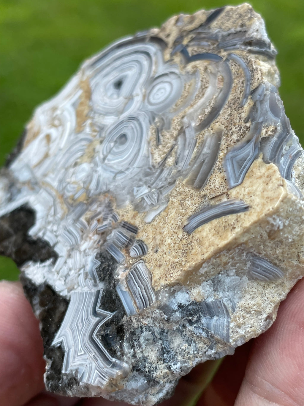 StoneBorn Creations Hand-Polished Tuxedo Lace Agate Bookmatched Pair | One-of-a-Kind Natural Display Stones