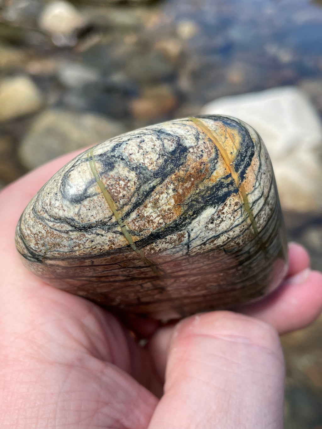 StoneBorn Creations Hand-Polished River Stone Freeform with Natural Black Webbing Patterns and Earthy Veining