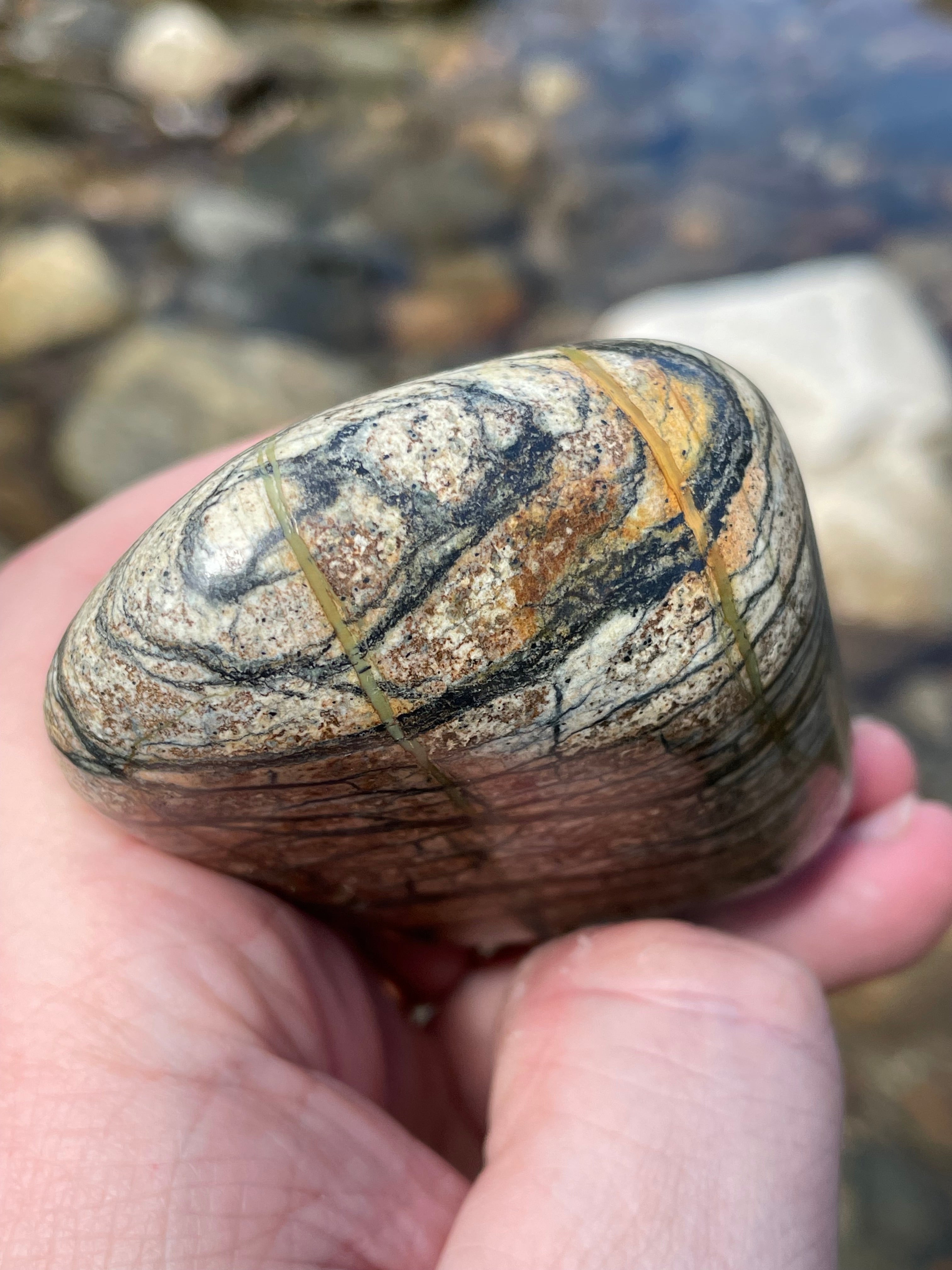 StoneBorn Creations Hand-Polished River Stone Freeform with Natural Black Webbing Patterns and Earthy Veining