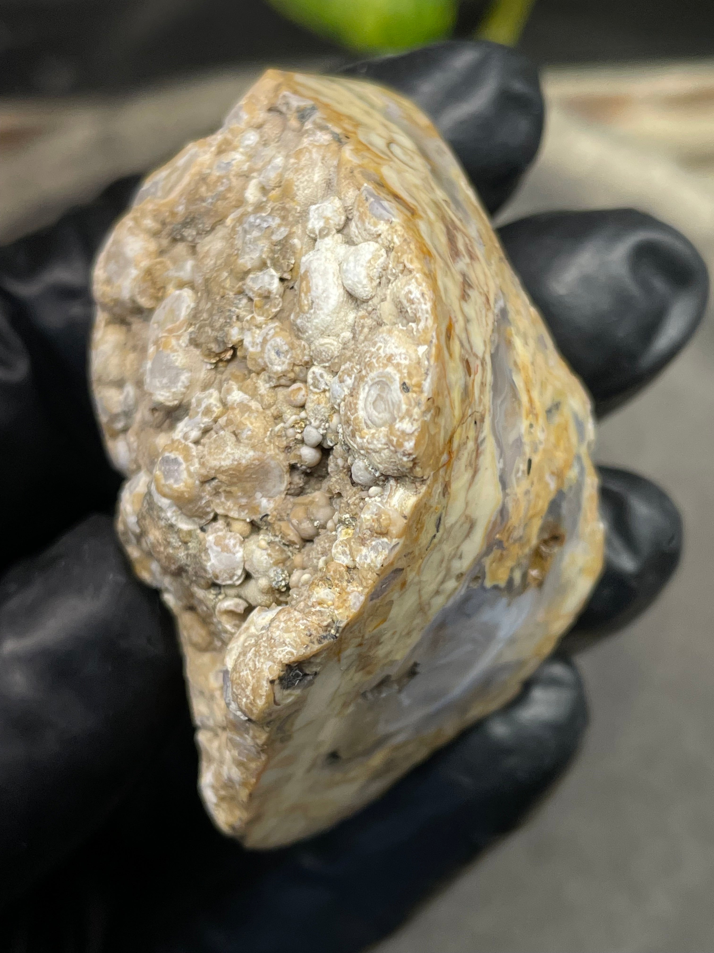 StoneBorn Creations Hand-Polished Curved Lace Agate with Natural Cream, Gold & Gray Banding – One-of-a-Kind Display Stone