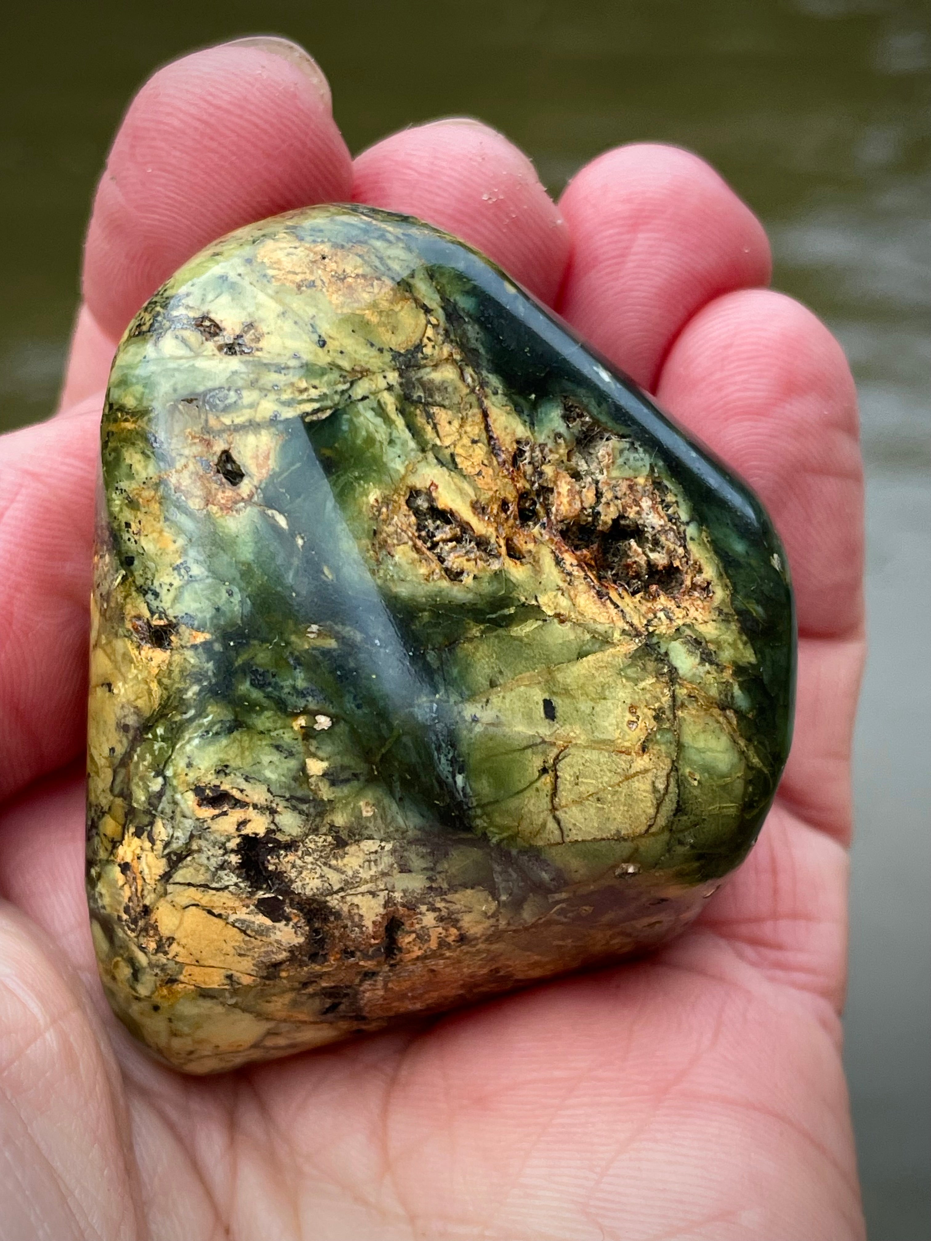 🌲 Polished Vermont Greenstone – Earth-Gold Forest Pattern (Hand-Collected & Polished)