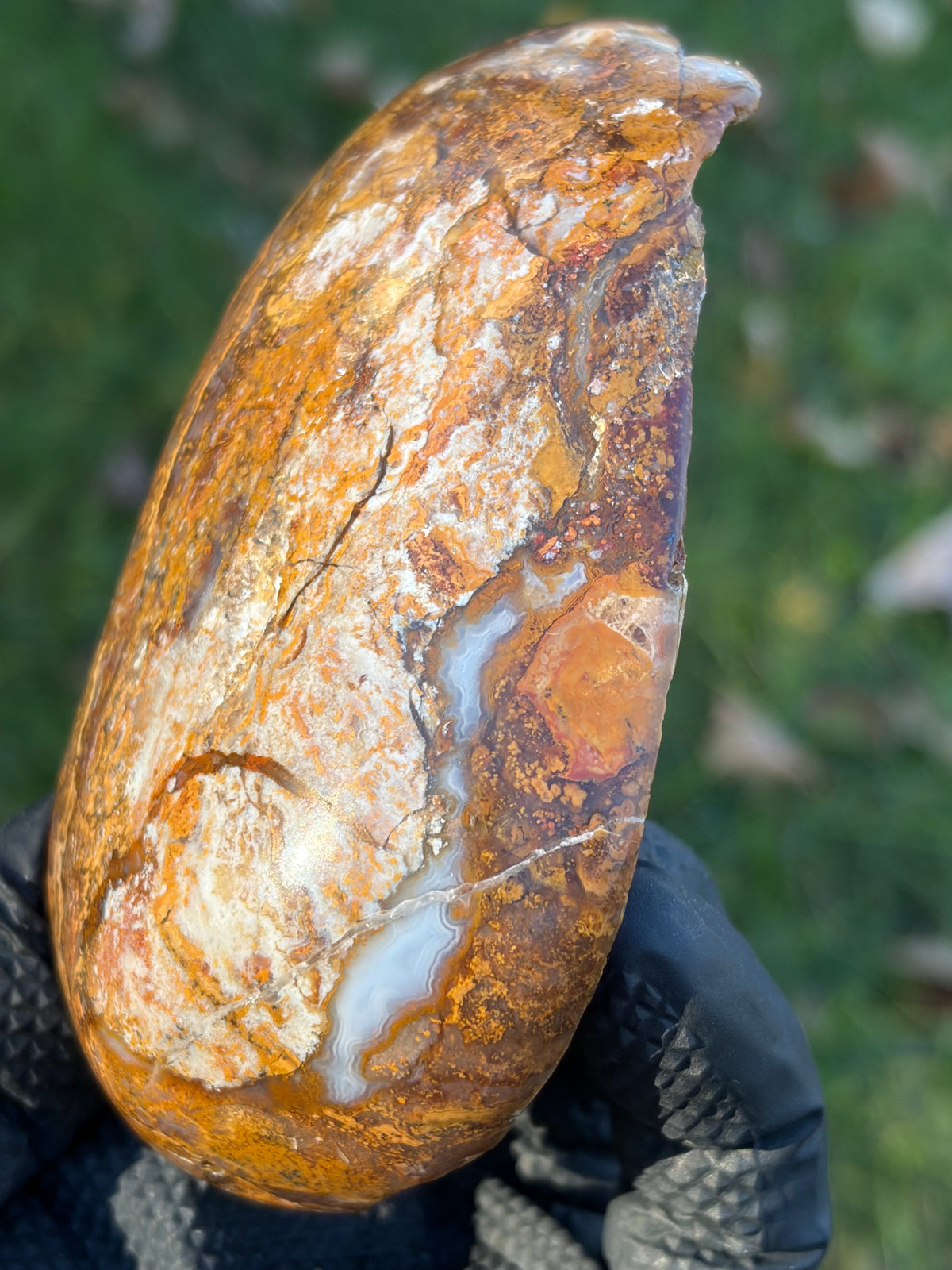 StoneBorn Creations – Natural Agate & Jasper Display Stone | Hand-Polished with Blue-Gray Agate Veins