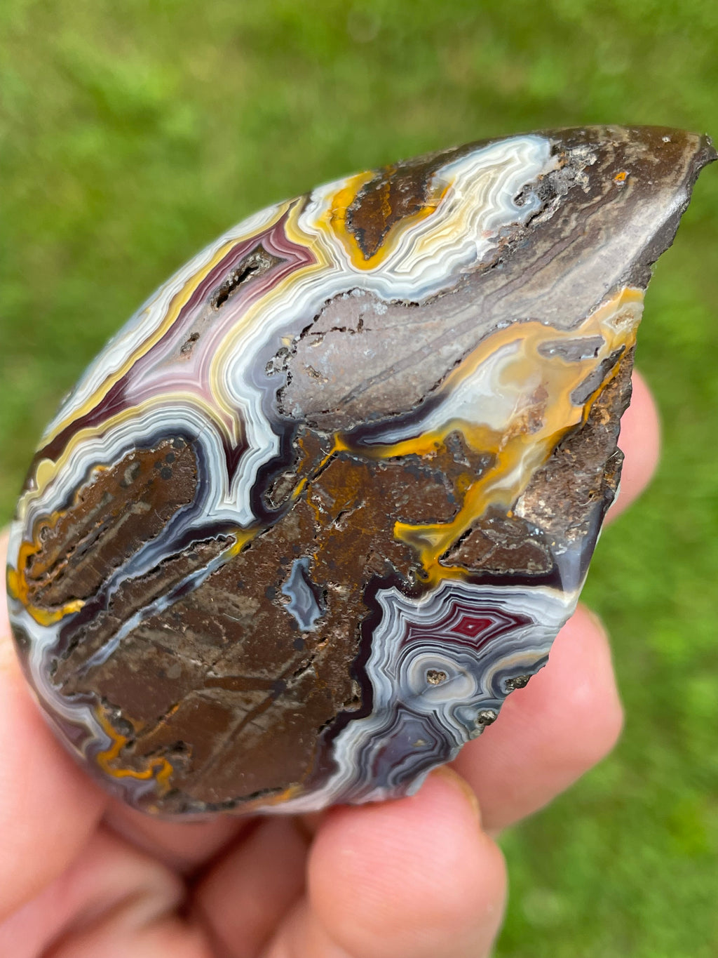 StoneBorn Creations Hand-Polished Lace Agate Freeform with Natural Druzy Quartz Pocket & Orbicular Banding