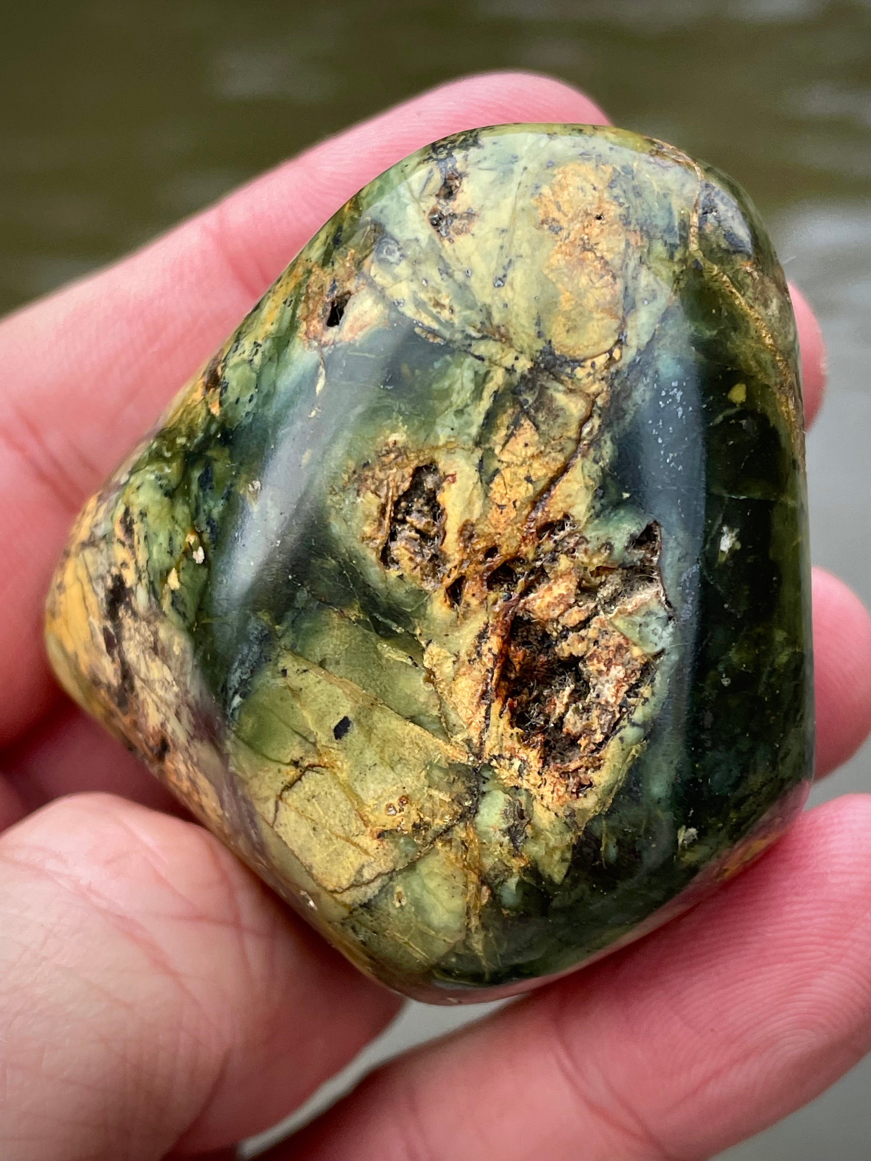 🌲 Polished Vermont Greenstone – Earth-Gold Forest Pattern (Hand-Collected & Polished)